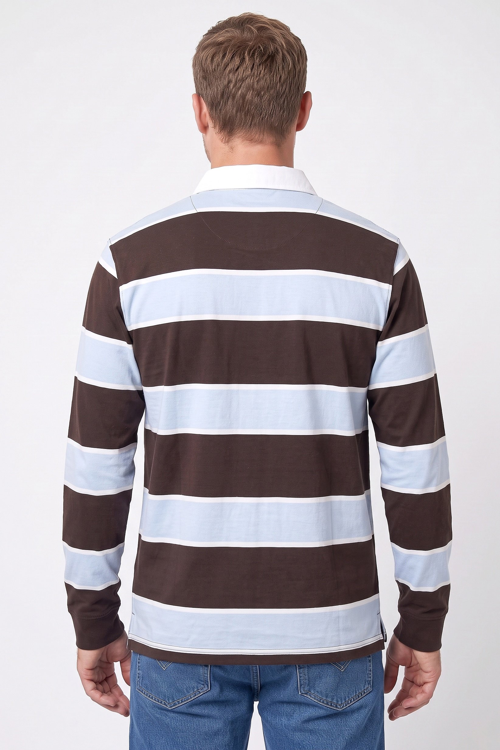 Men Regular Fit Long Sleeve Stripe Polo Shirt, Multicolor
