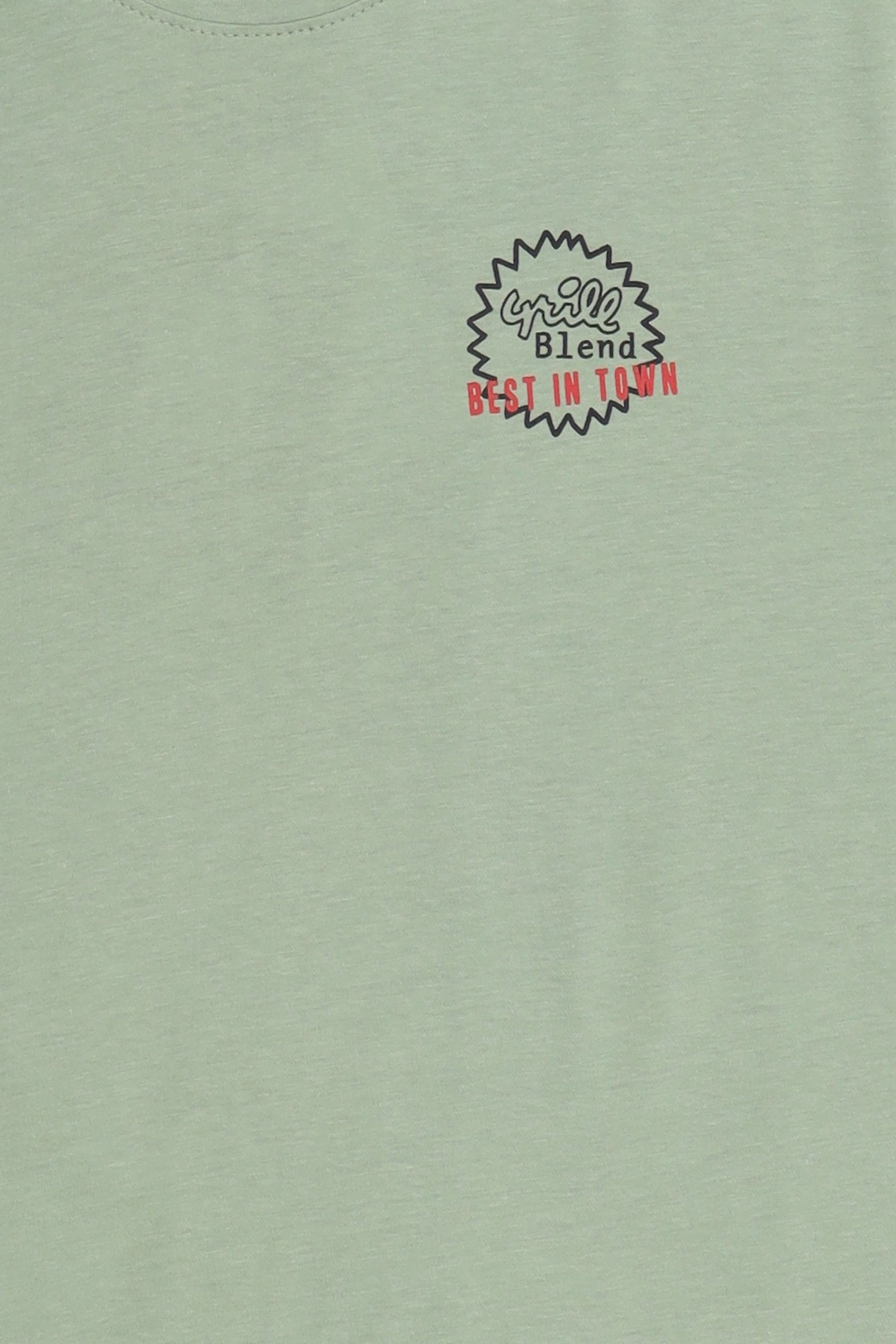 Men Crew Neck Short Sleeve Graphic Print T-Shirt, Green