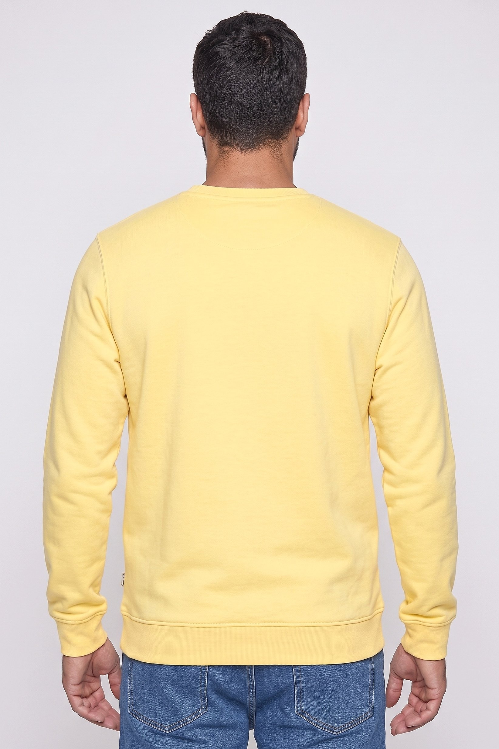 Men Crew Neck Long Sleeve Embroidered Logo Sweatshirt, Yellow