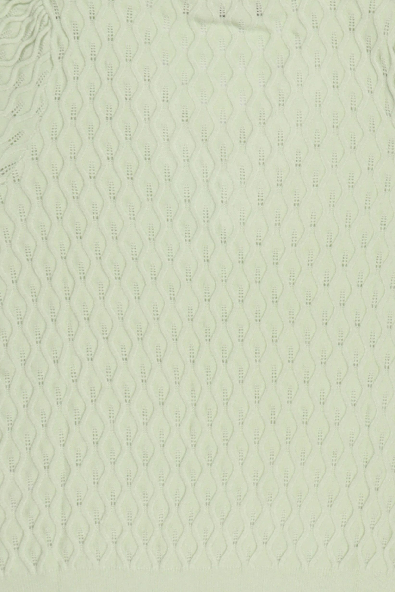 Women V Neck Short Sleeve Textured Top, Light Green