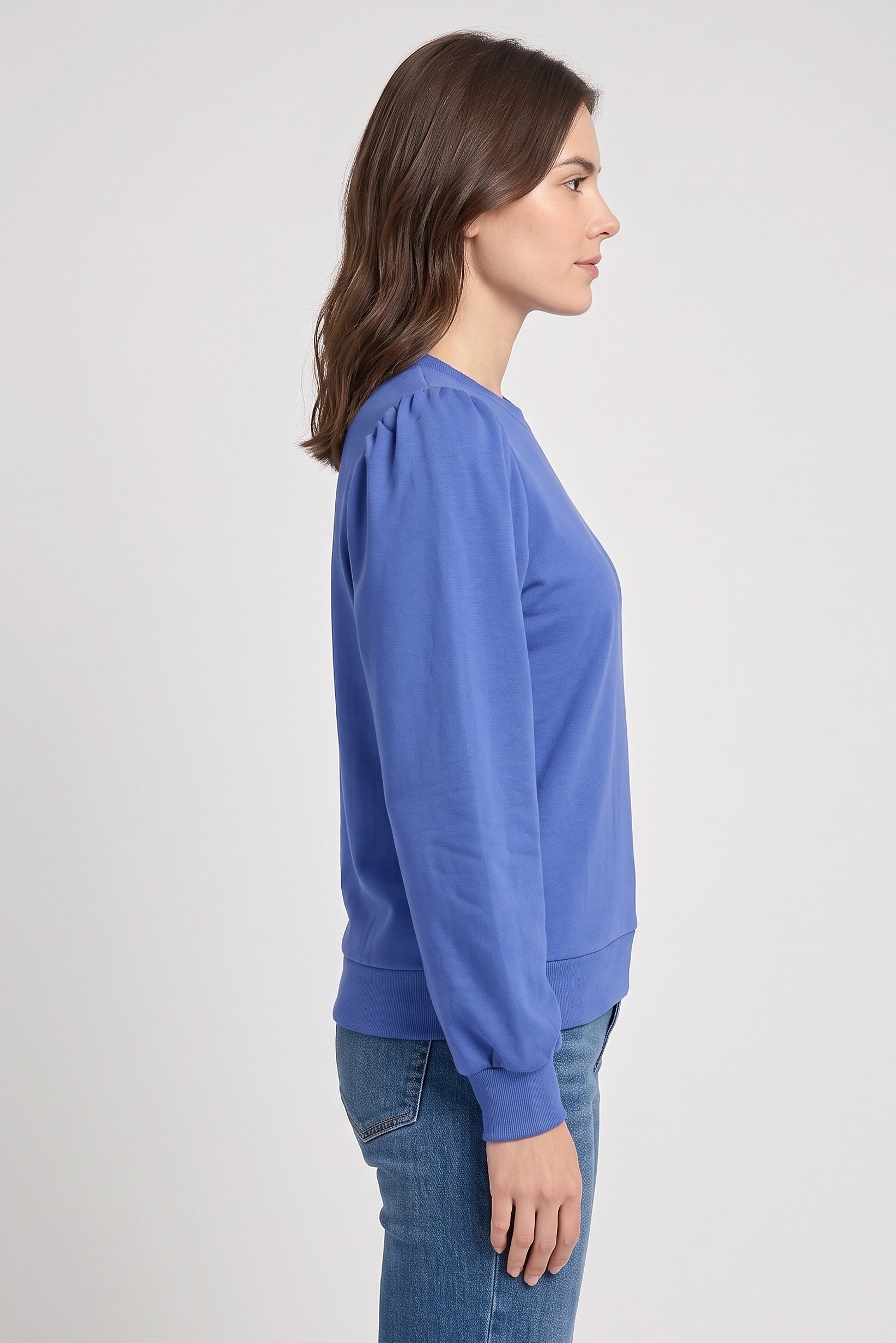 Women Crew Neck Puffed Sleeve Solid Blouse, Amparo Blue