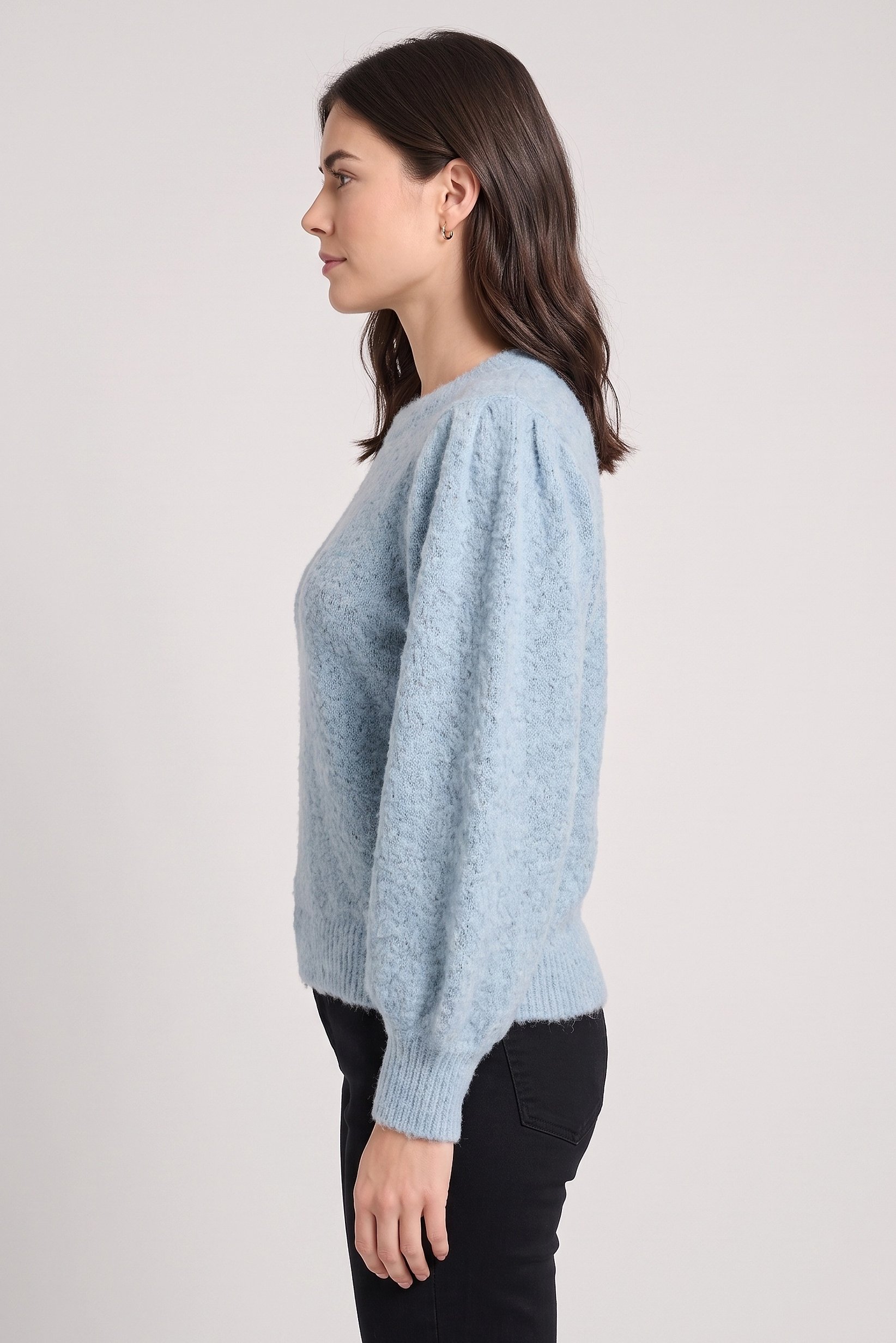 Women Crew Neck Textured Sweater, Light Blue