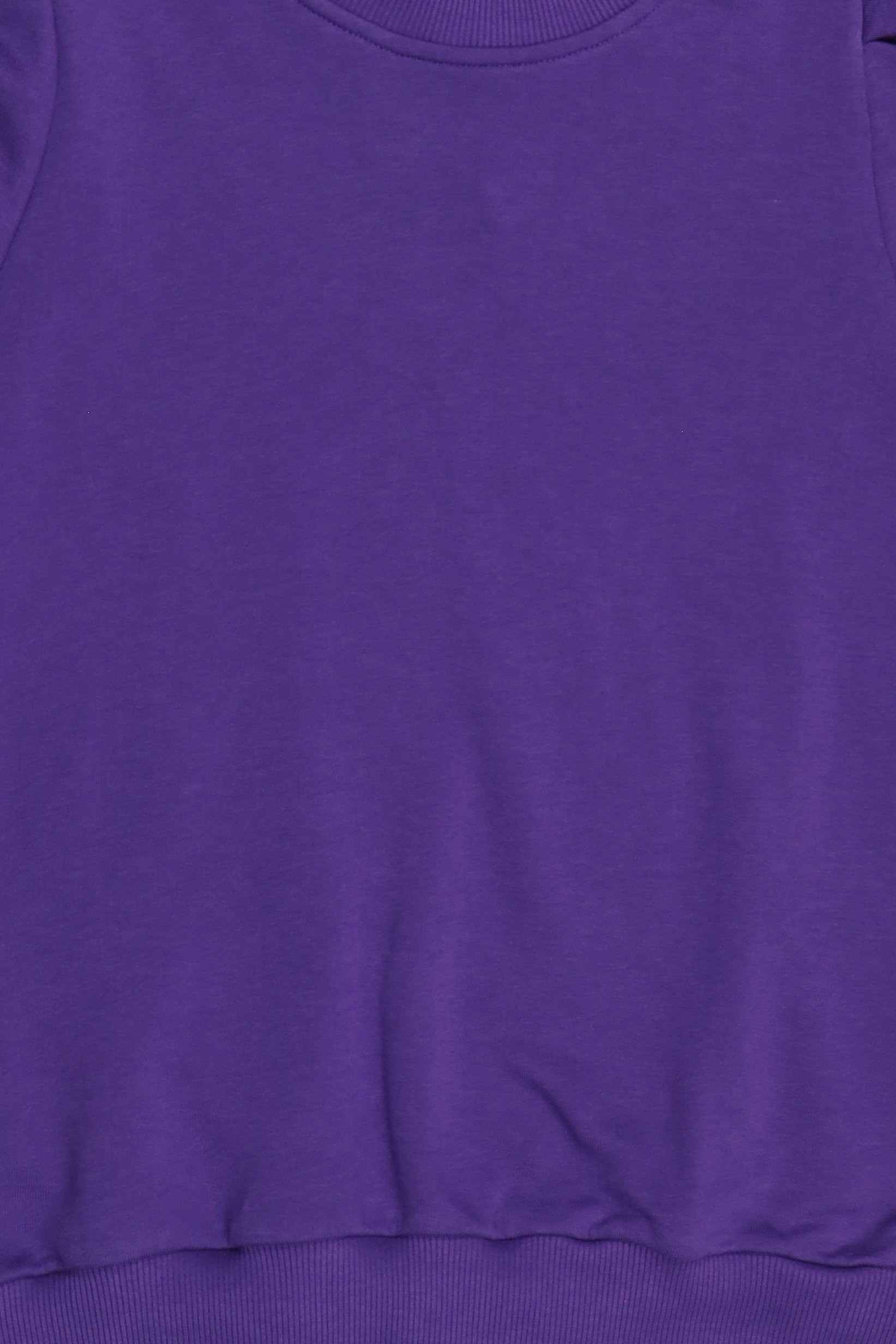Women Crew Neck Balloon Sleeve Solid Top, Purple