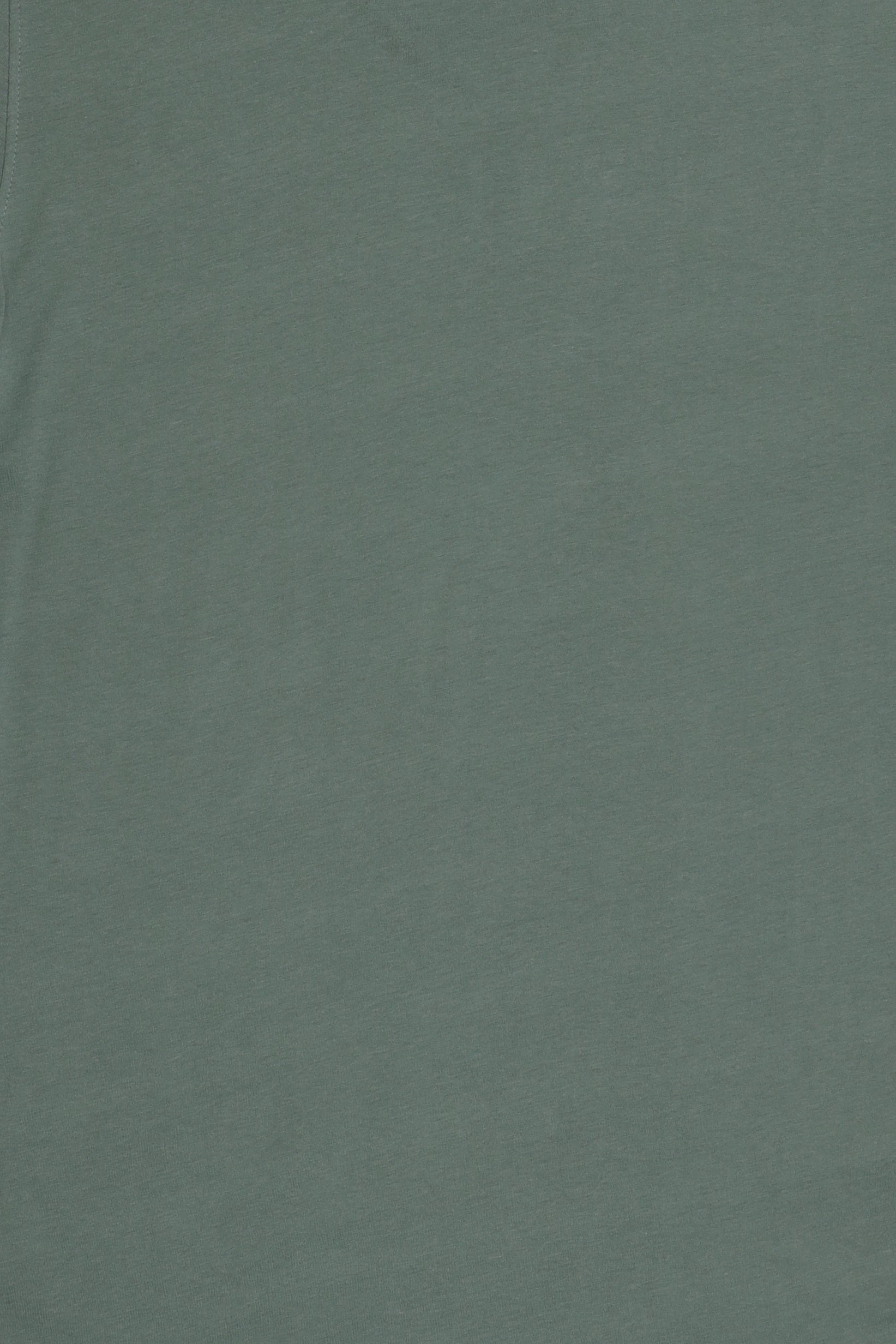Men Crew Neck Short Sleeve Plain T-Shirt, Green