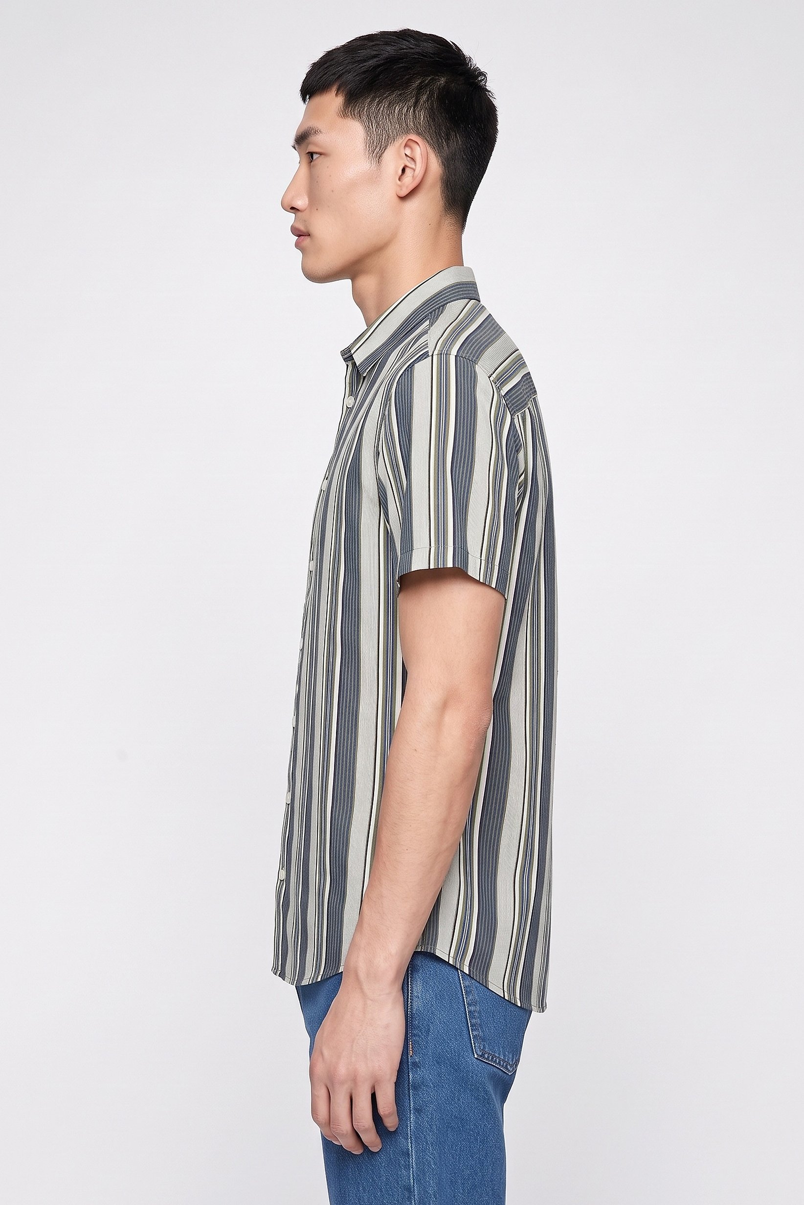 Men Regular Fit Stripe Short Sleeve Casual Shirt, Multicolor