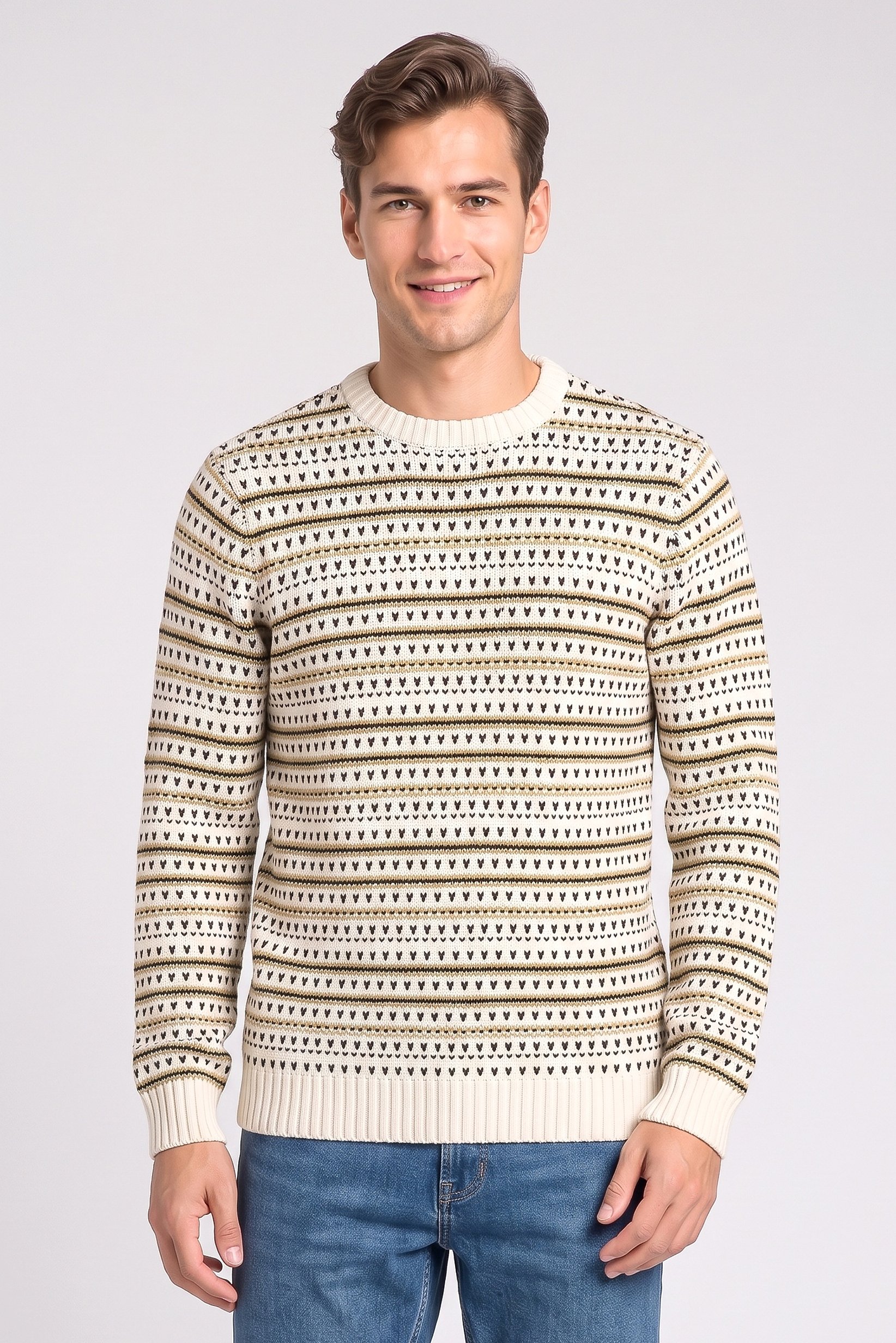 Men Crew Neck Knitted Sweater, Multicolor