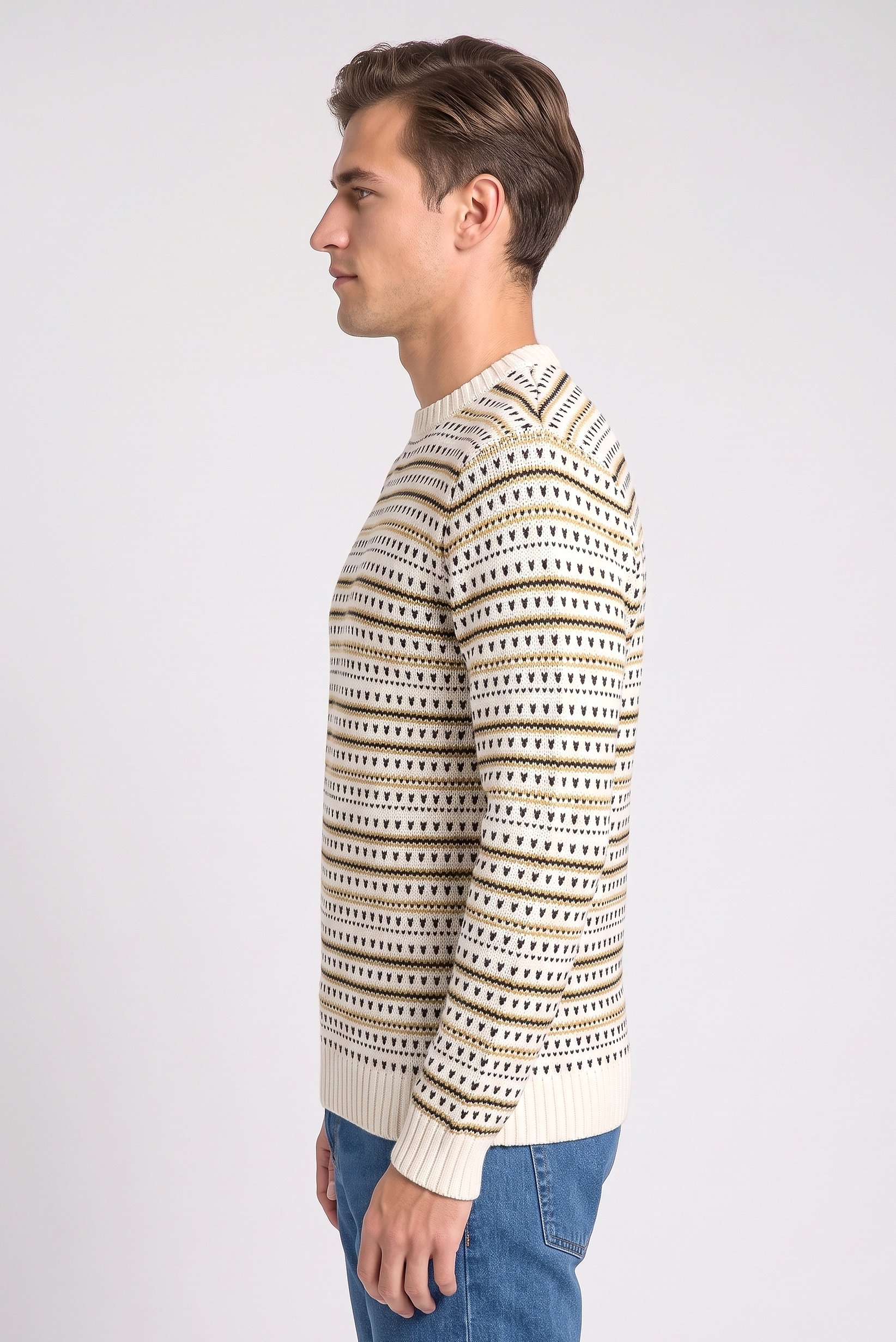 Men Crew Neck Knitted Sweater, Multicolor