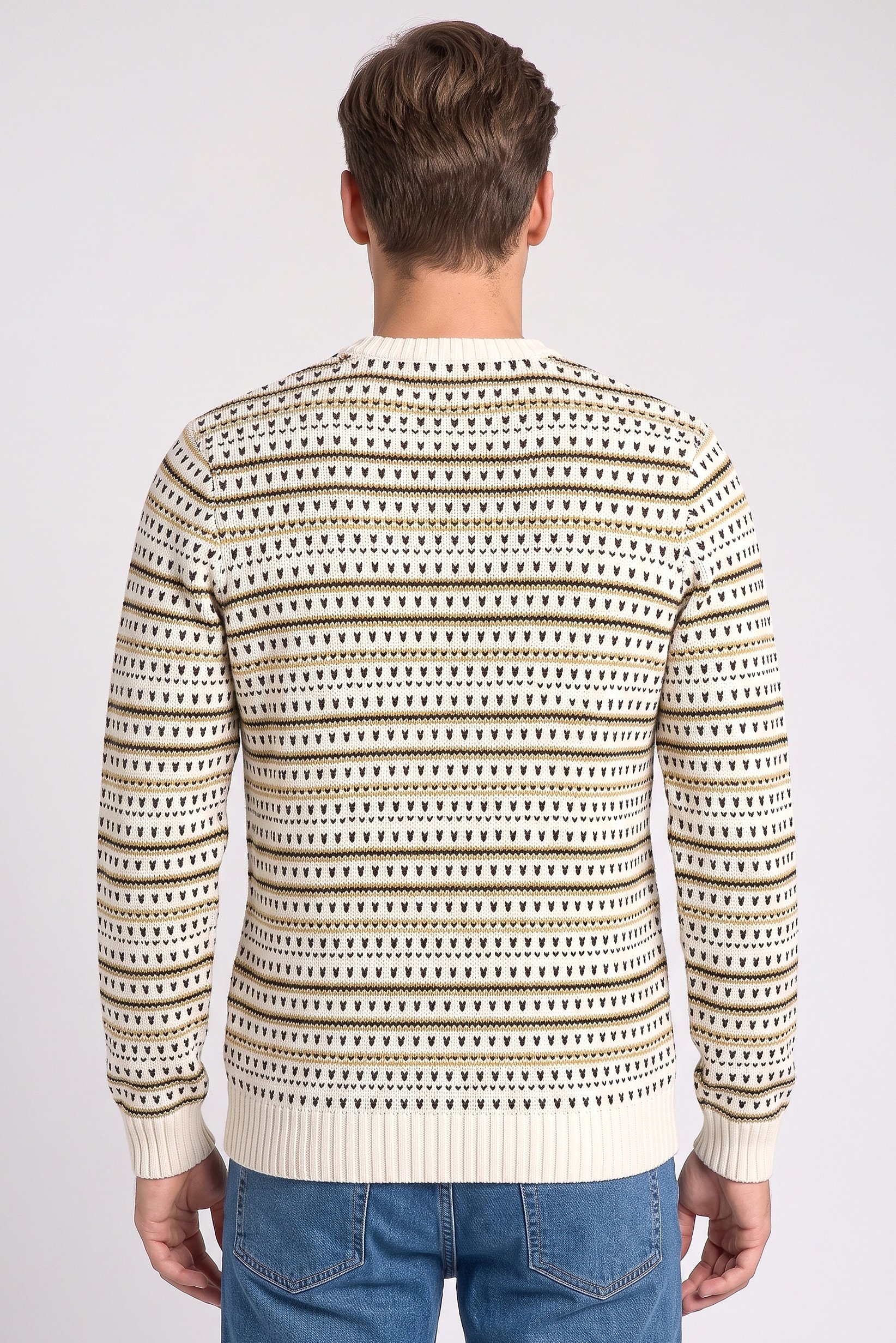 Men Crew Neck Knitted Sweater, Multicolor