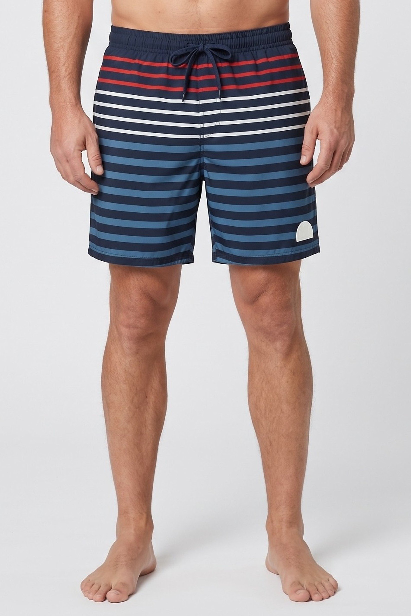 Men Stripe Board Shorts, Multicolor
