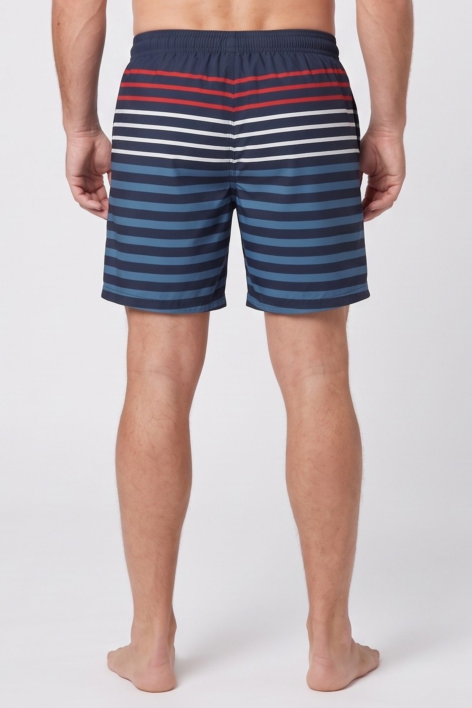 Men Stripe Board Shorts, Multicolor
