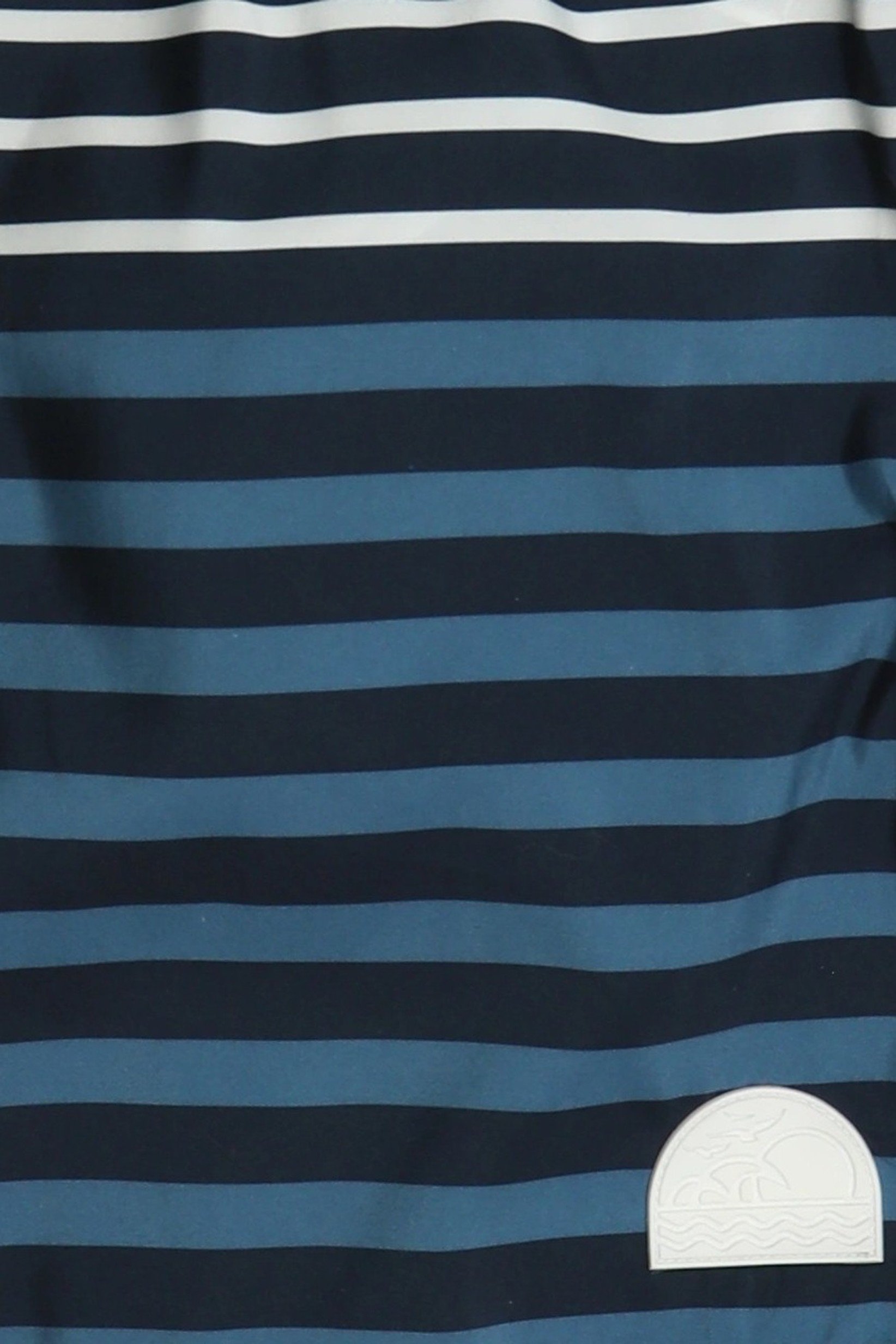 Men Stripe Board Shorts, Multicolor