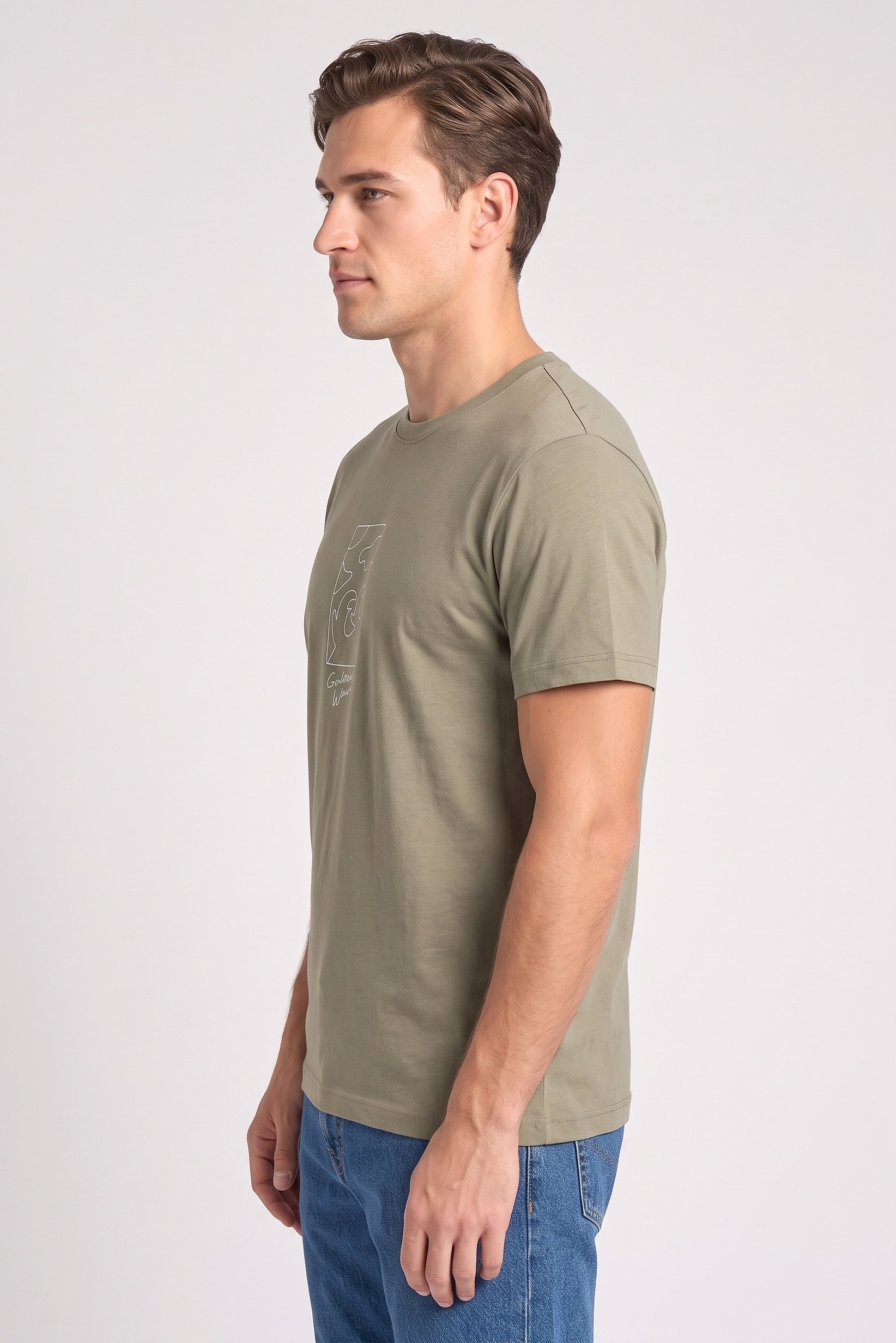 Men Crew Neck Short Sleeve Graphic Print T-Shirt, Sage Green