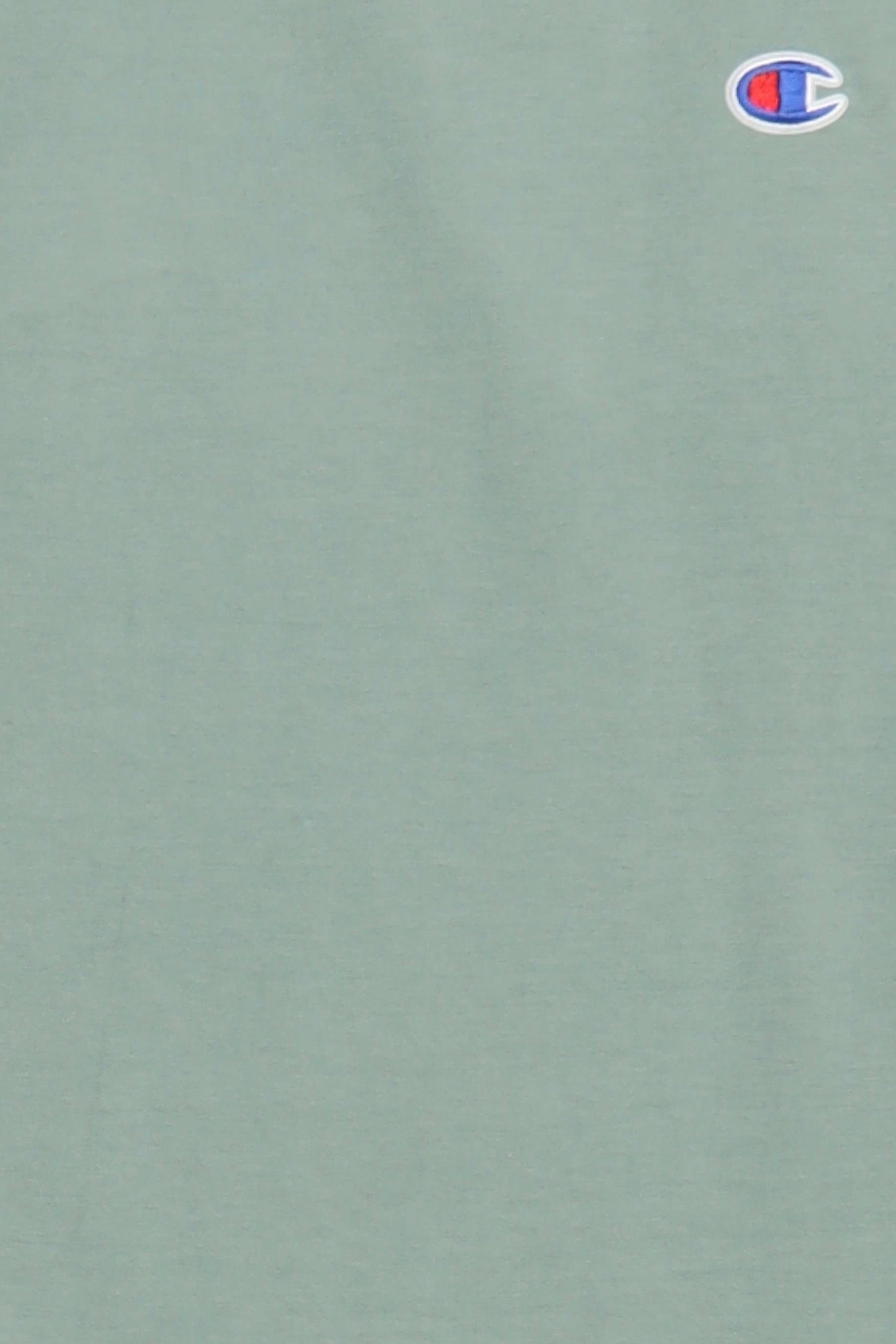 Men Sportswear Fit Outdoor Sweatpants, Sage Green