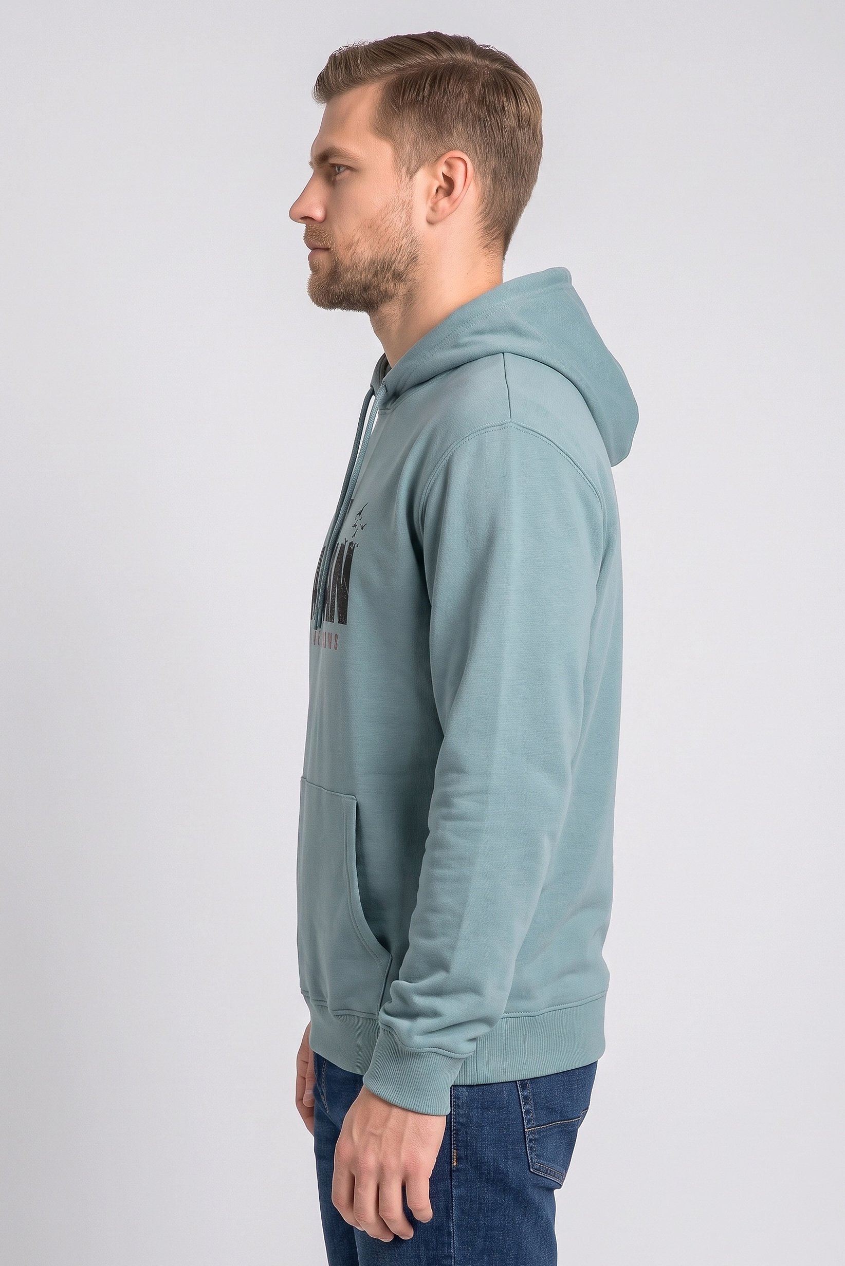 Men Long Sleeve Graphic Print Hoodie, Sage Green
