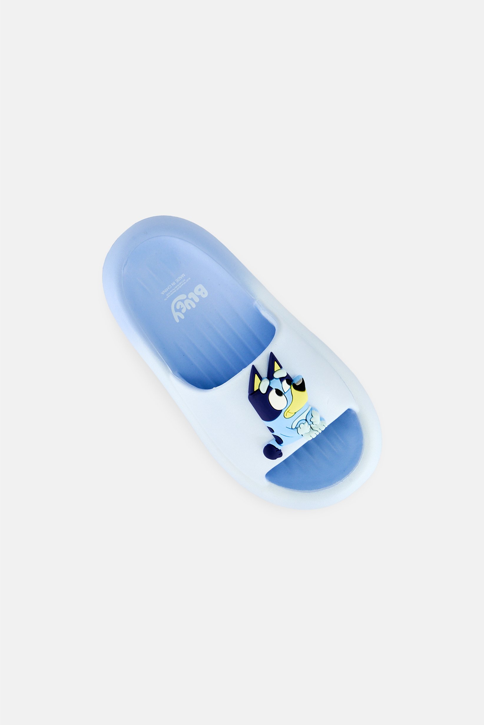 Kids Boy Bluey Slip On Slides, Multicolor