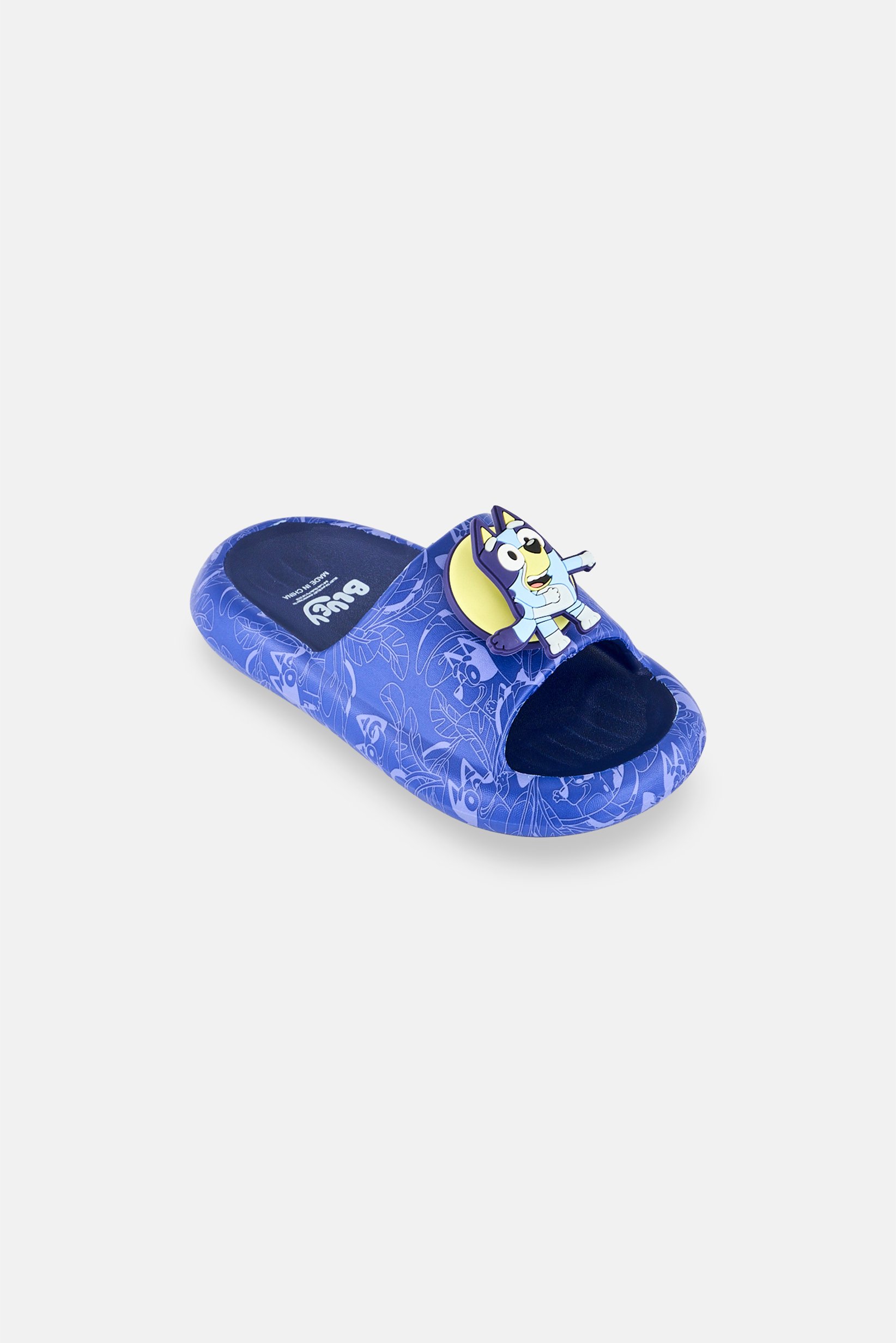 Kids Boy Bluey Slip On Slides, Blue