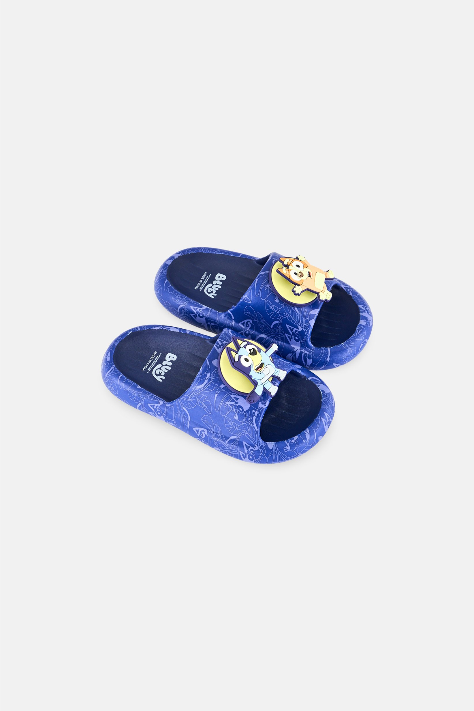Kids Boy Bluey Slip On Slides, Blue