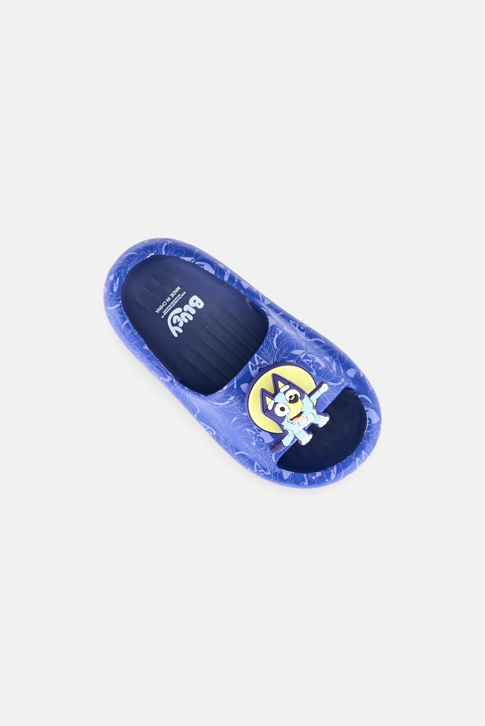 Kids Boy Bluey Slip On Slides, Blue