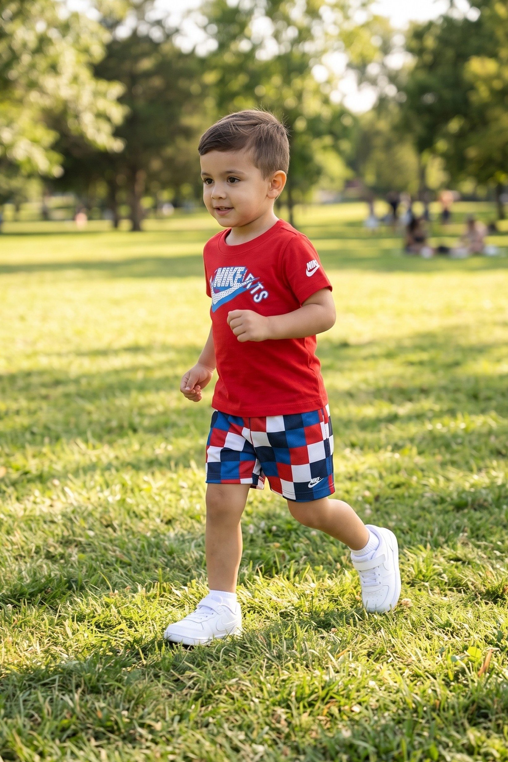 Toddlers Boy 2 Pcs Sportswear Fit Top And Short Set, Multicolot