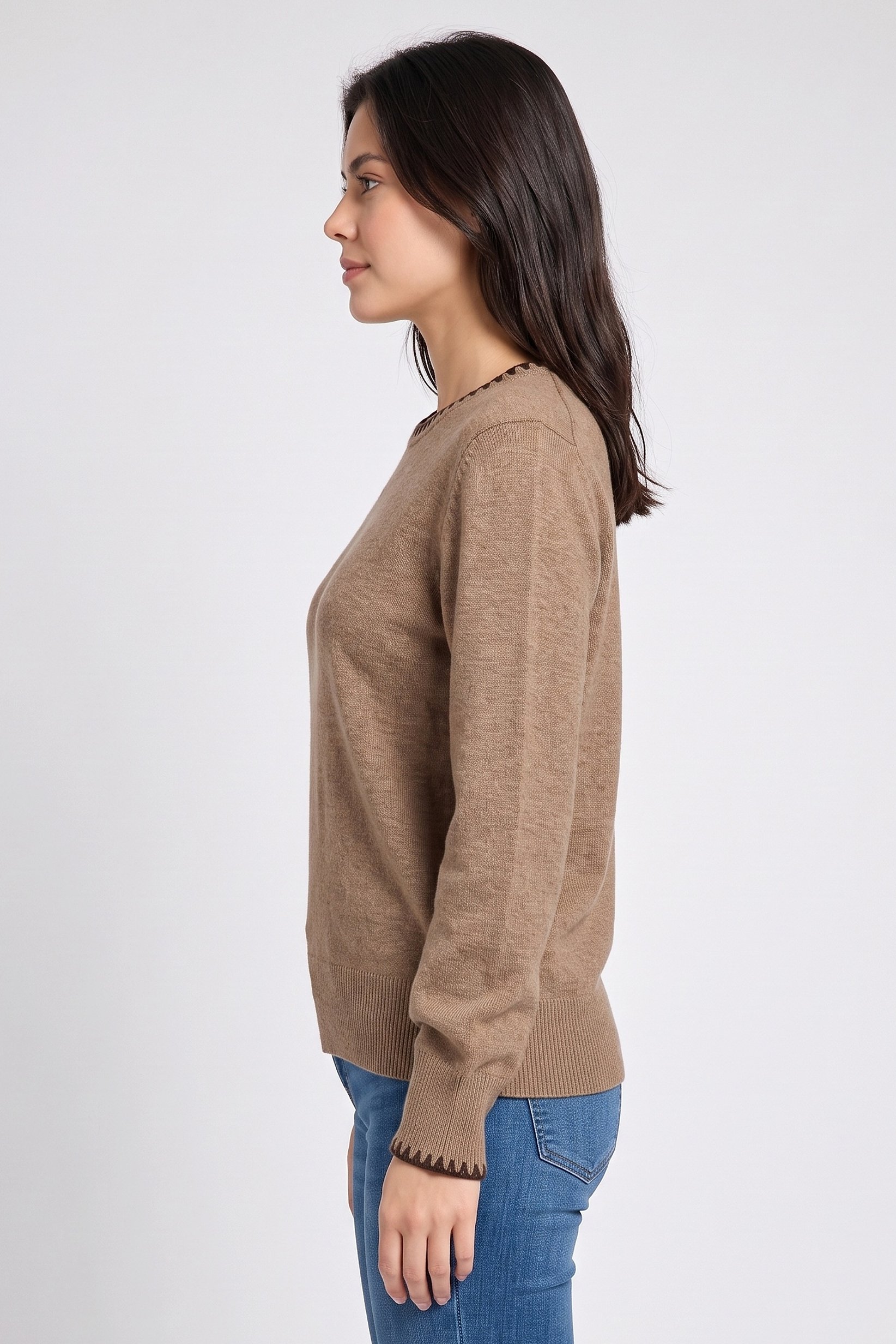 Women Crew Neck Plain Sweater, Brown