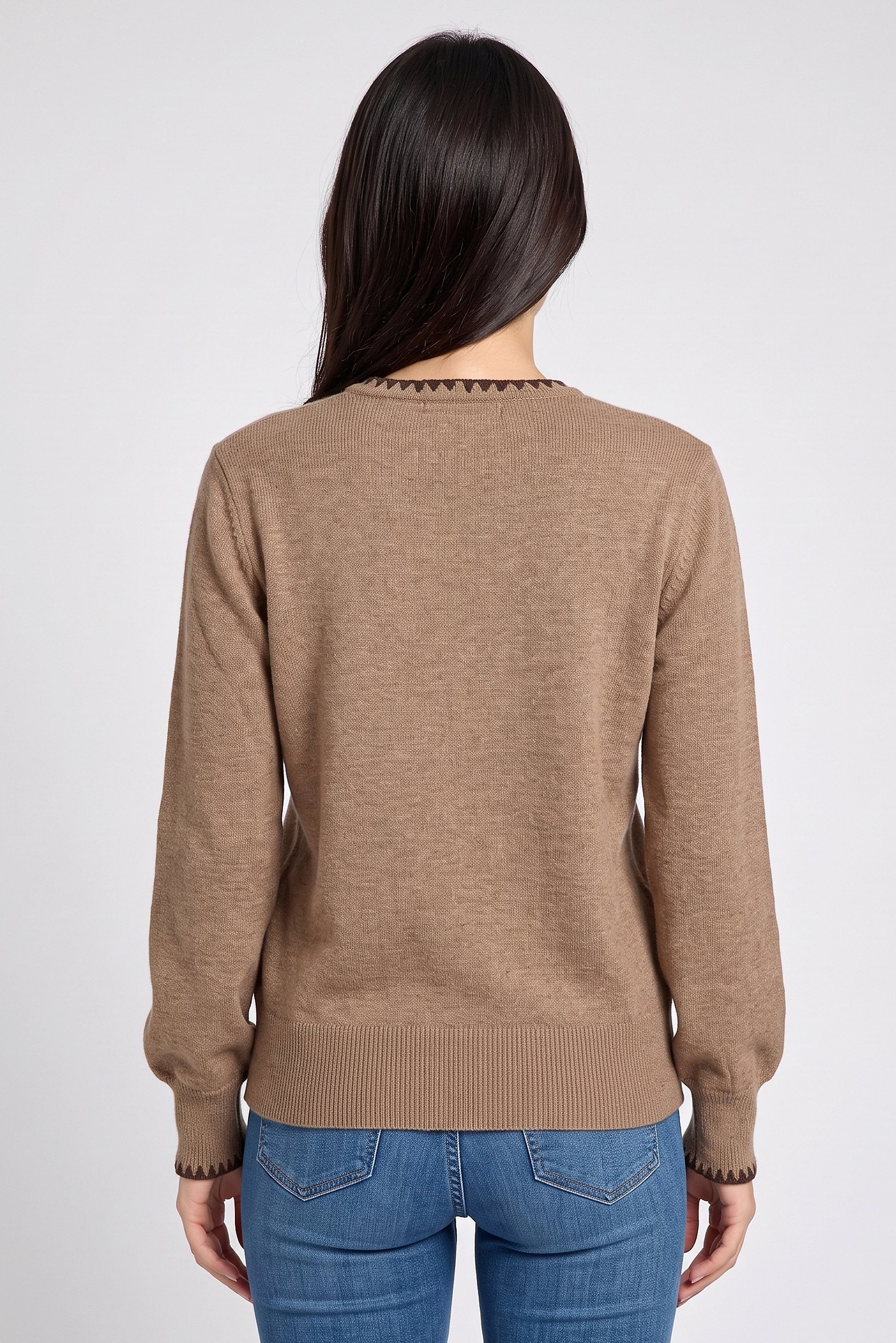 Women Crew Neck Plain Sweater, Brown