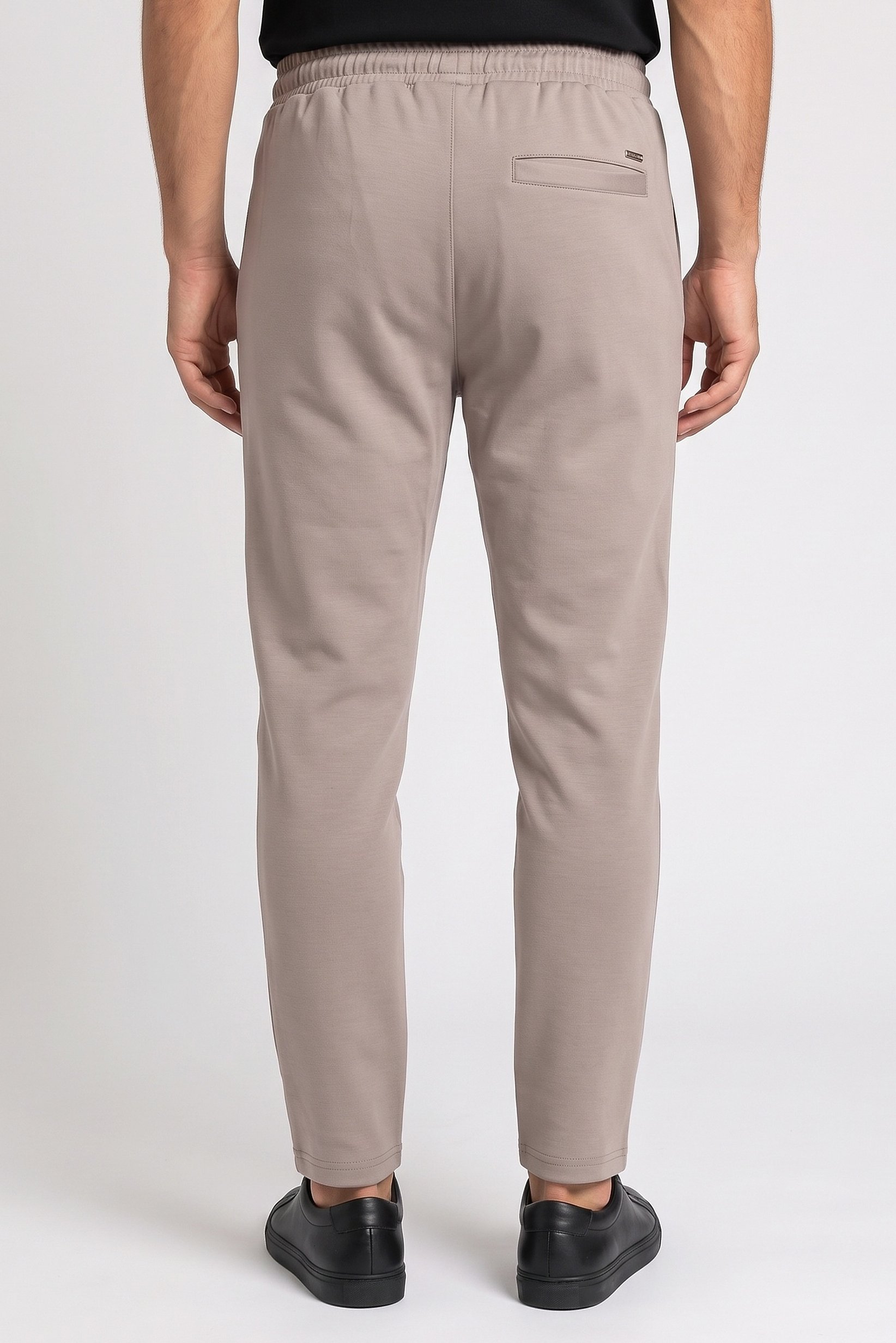 Men Regular Fit Solid Straight Leg Pants, Taupe