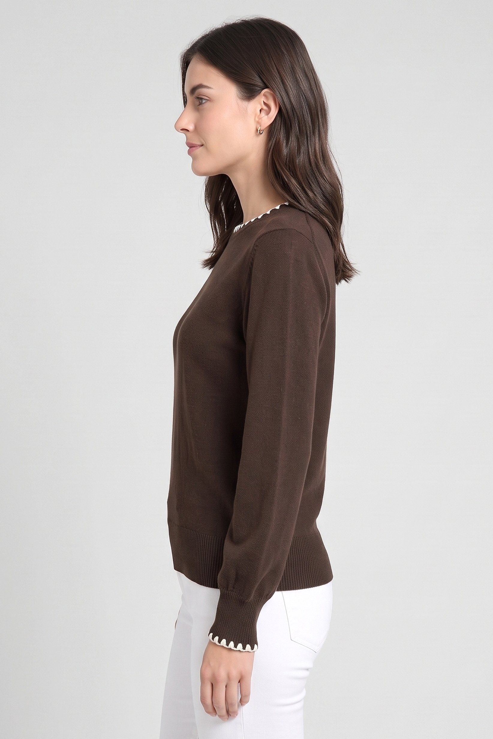Women Crew Neck Plain Sweater, Dark Brown