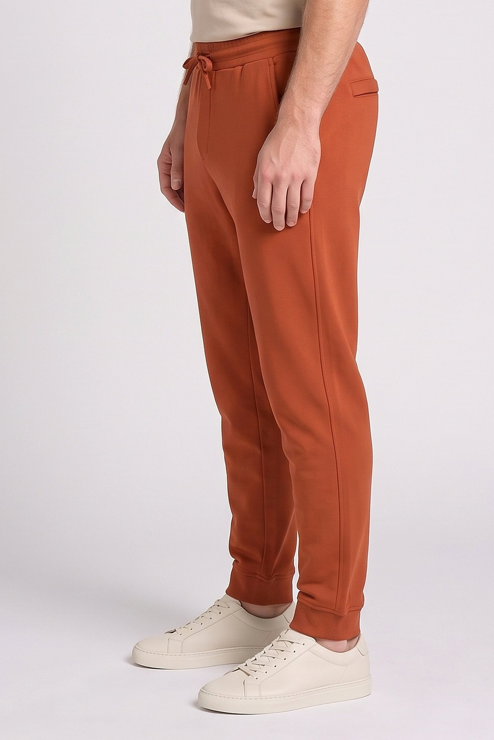 Men Regular Fit Solid Jogger Pants, Rust