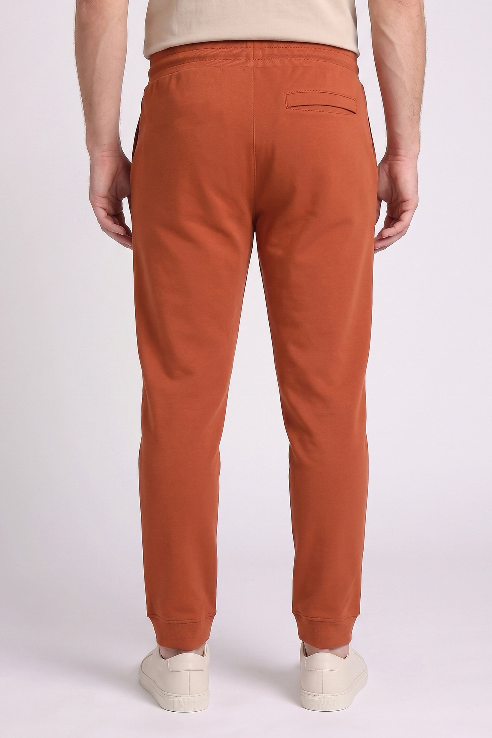 Men Regular Fit Solid Jogger Pants, Rust
