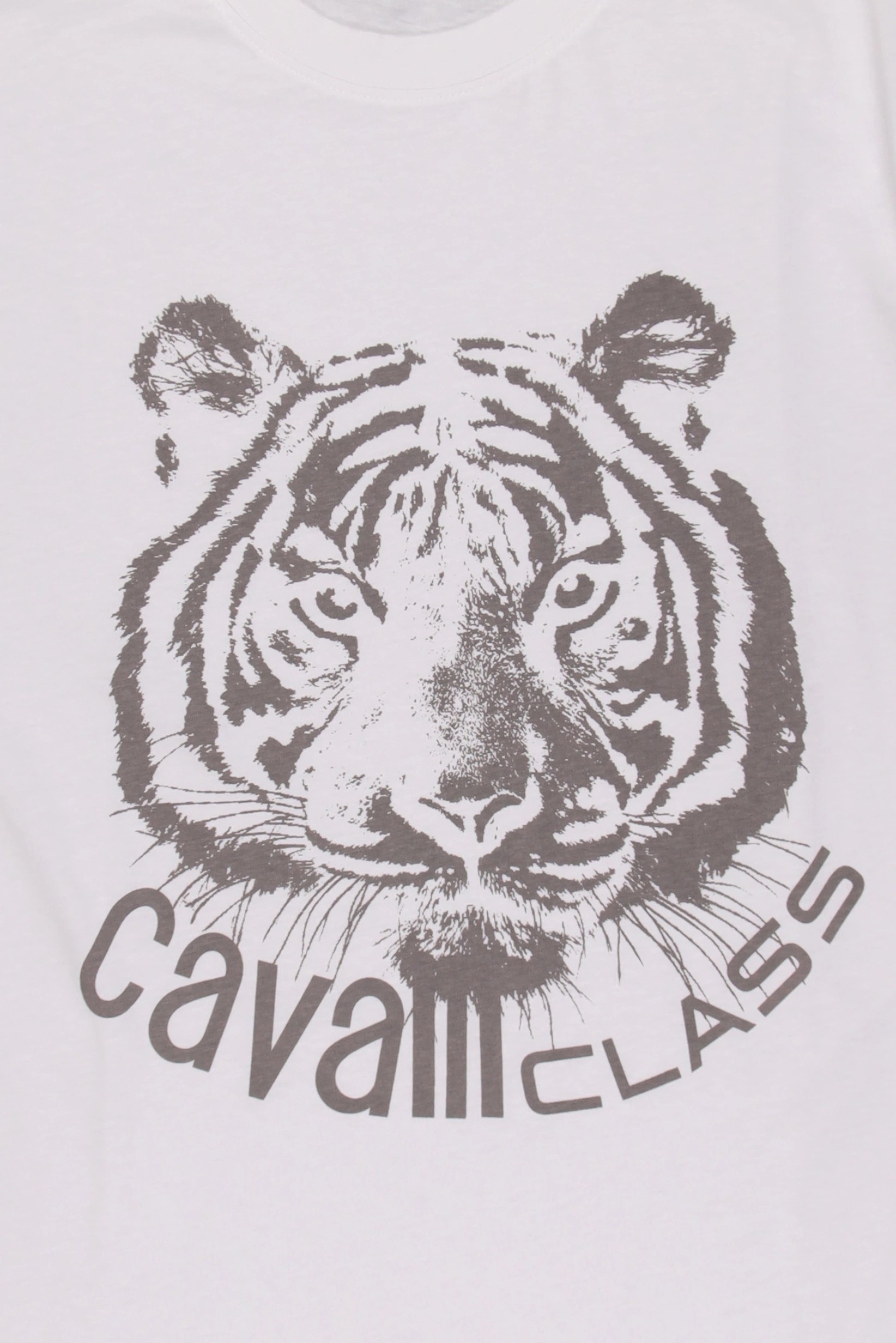 Men Crew Neck Graphic Print Short Sleeve T-Shirt, White