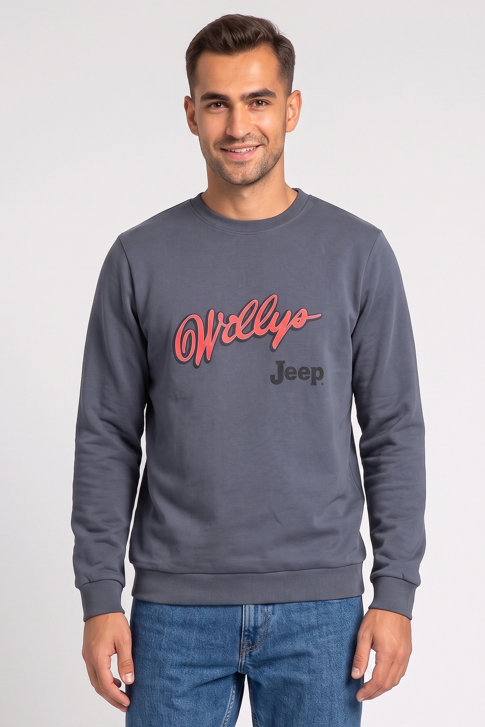Men Crew Neck Long Sleeve Brand Logo Sweatshirt, Grey