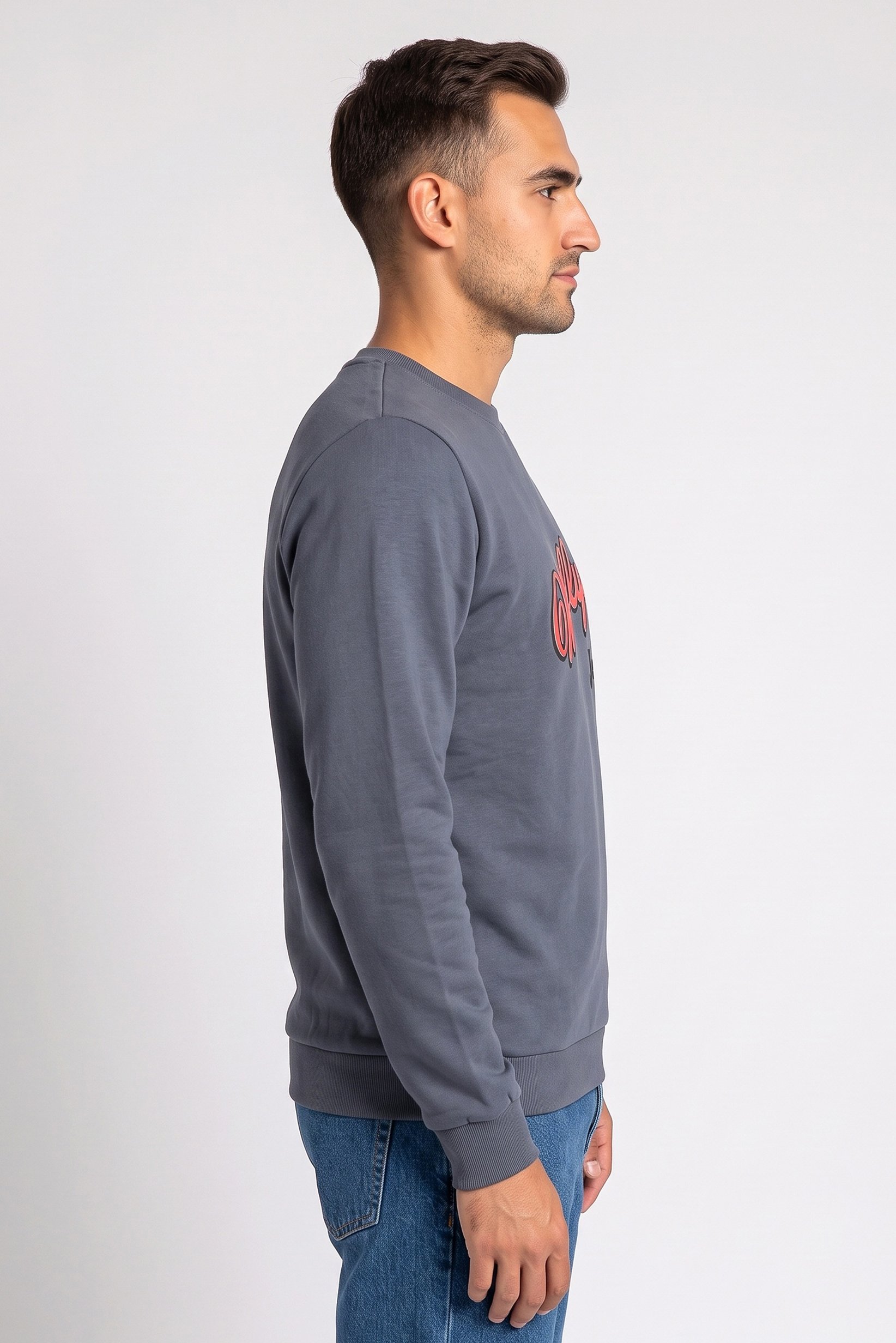 Men Crew Neck Long Sleeve Brand Logo Sweatshirt, Grey