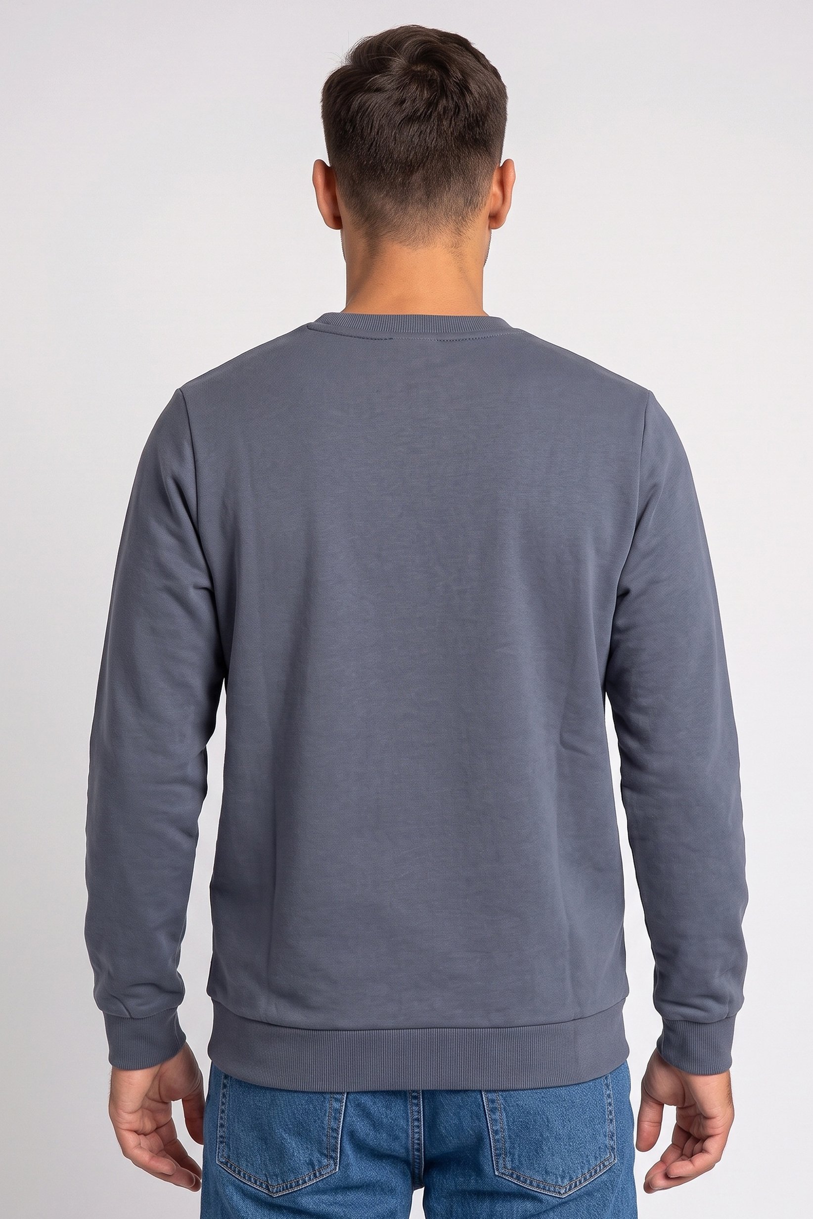 Men Crew Neck Long Sleeve Brand Logo Sweatshirt, Grey