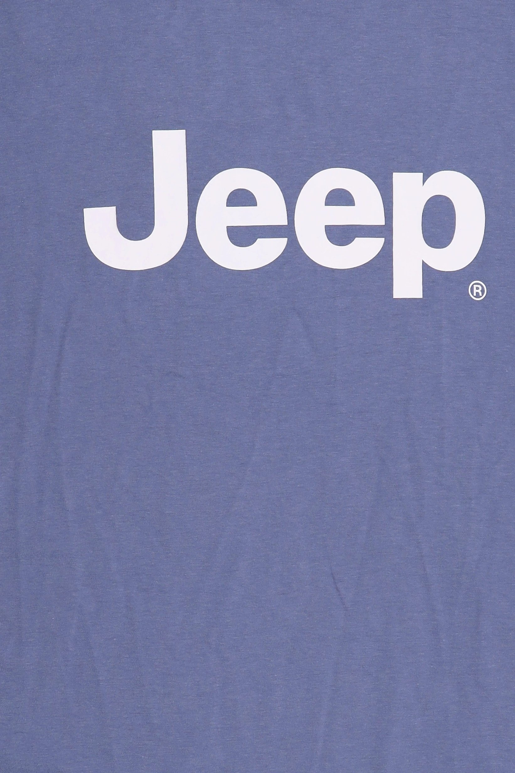 Men Crew Neck Short Sleeve Brand Logo T-Shirt, Slate Blue