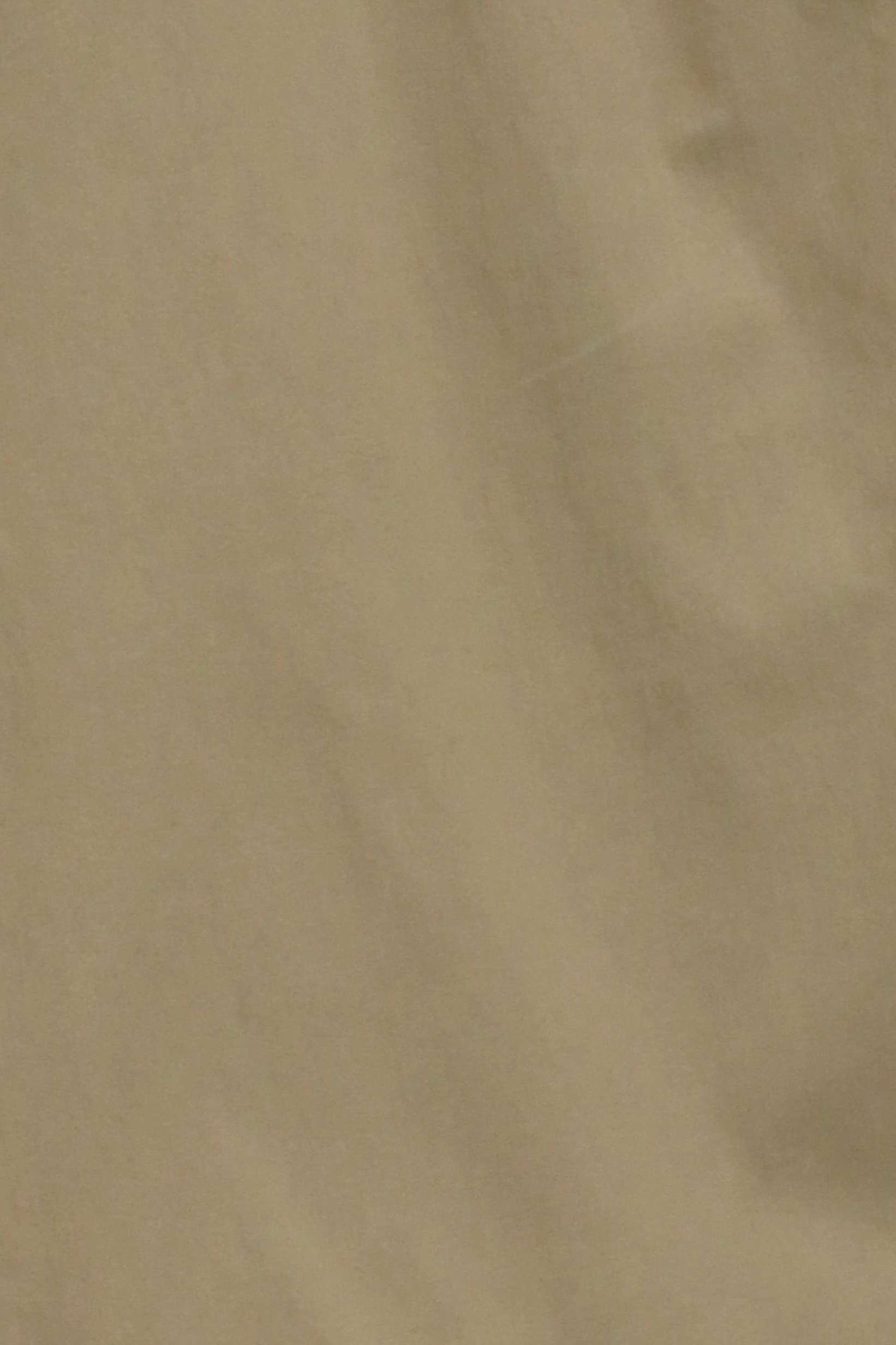 Men Regular Fit Outdoor Shorts, Tan