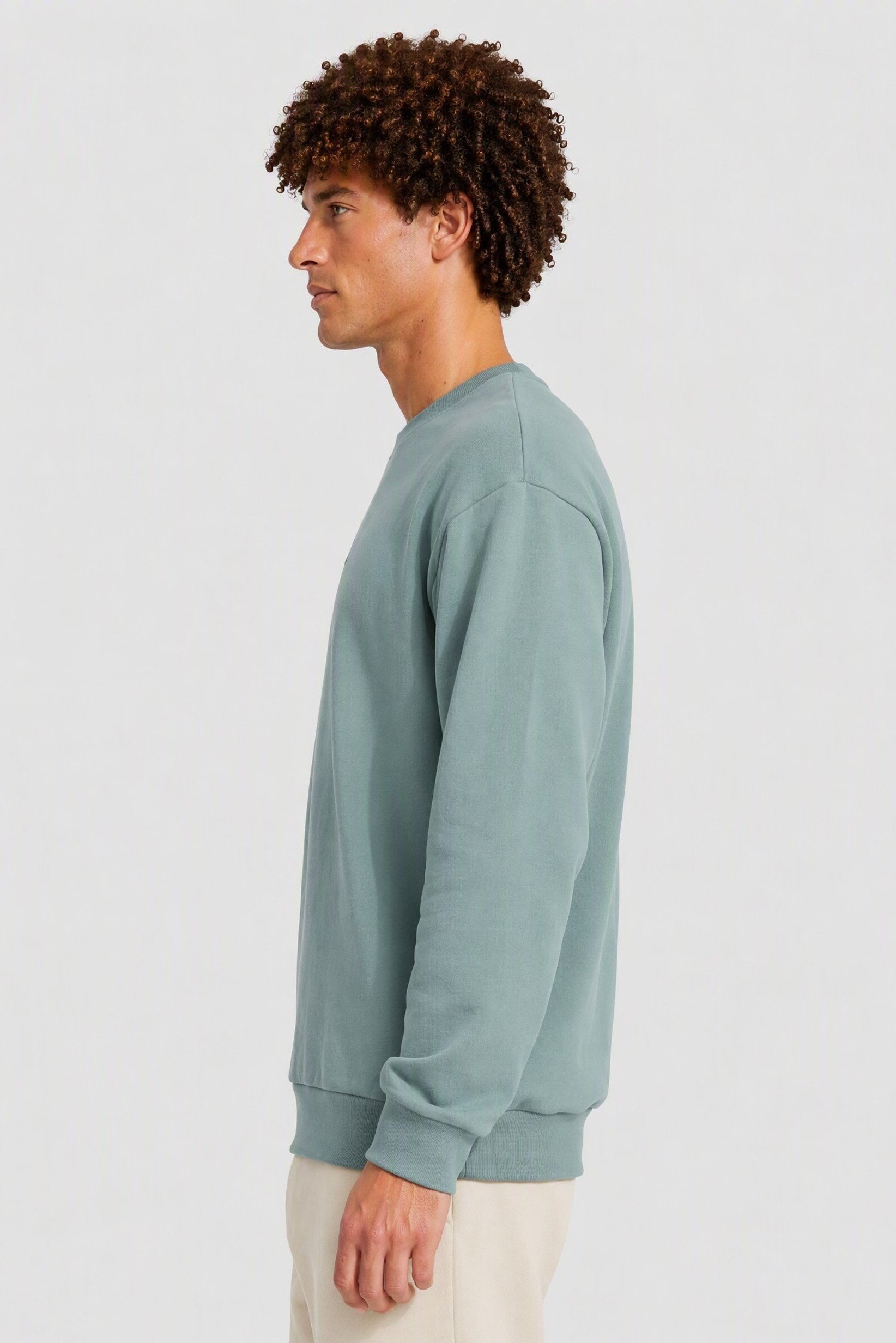 Men Boxy Fit Long Sleeve Outdoor Sweatshirt, Sage Green