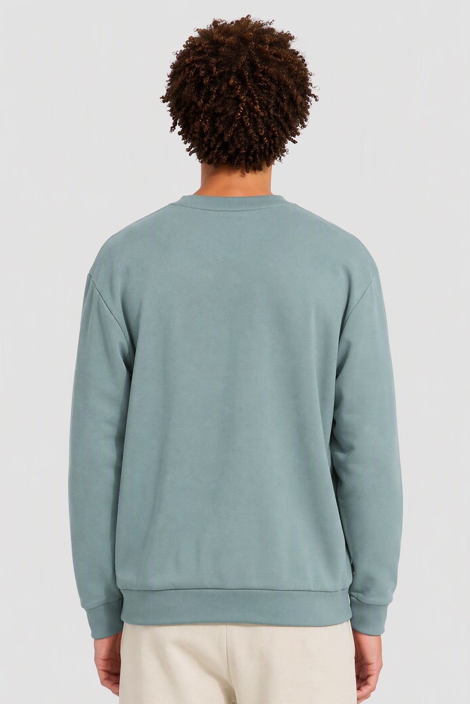 Men Boxy Fit Long Sleeve Outdoor Sweatshirt, Sage Green
