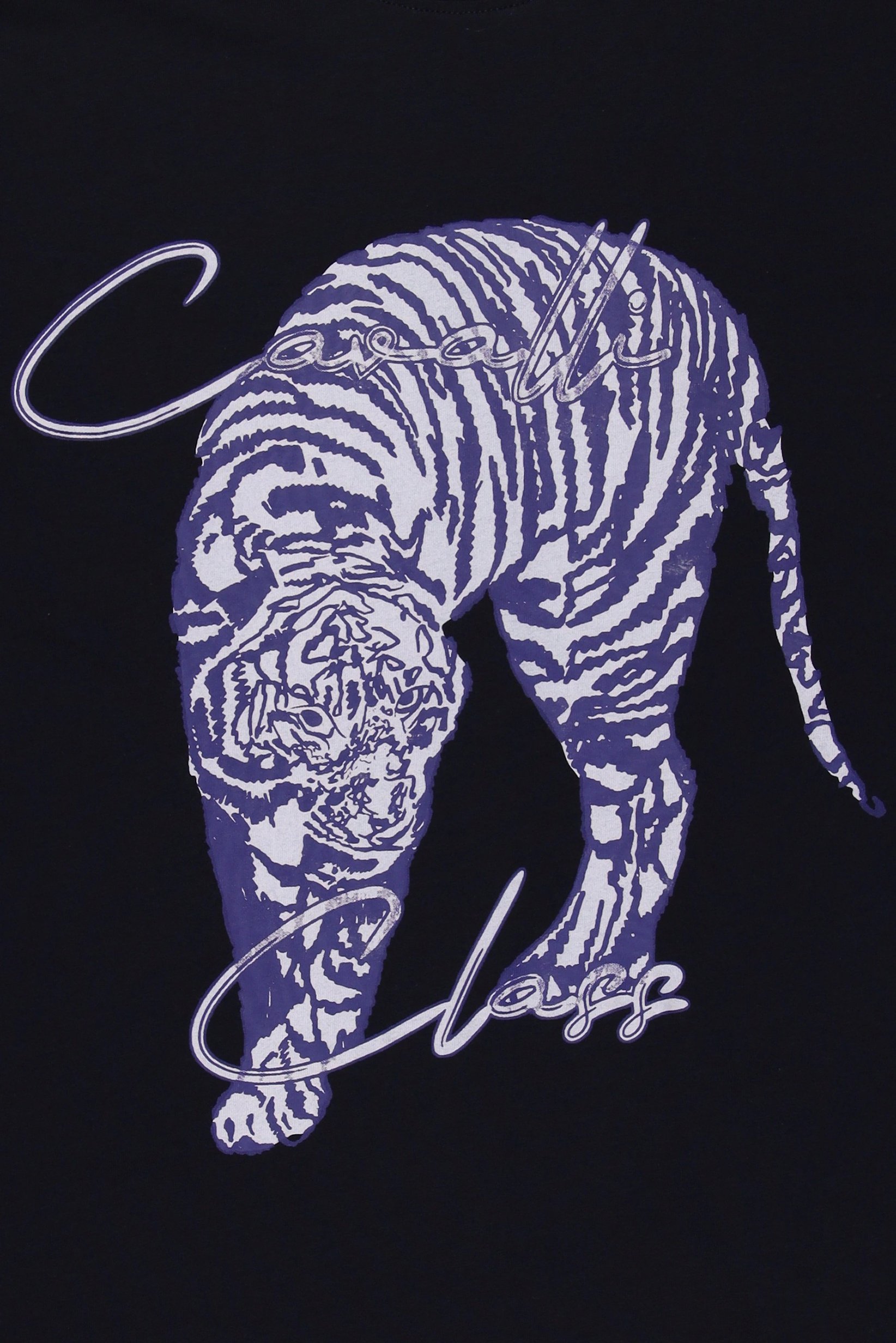 Men Crew Neck Graphic Print Short Sleeve T-Shirt, Navy