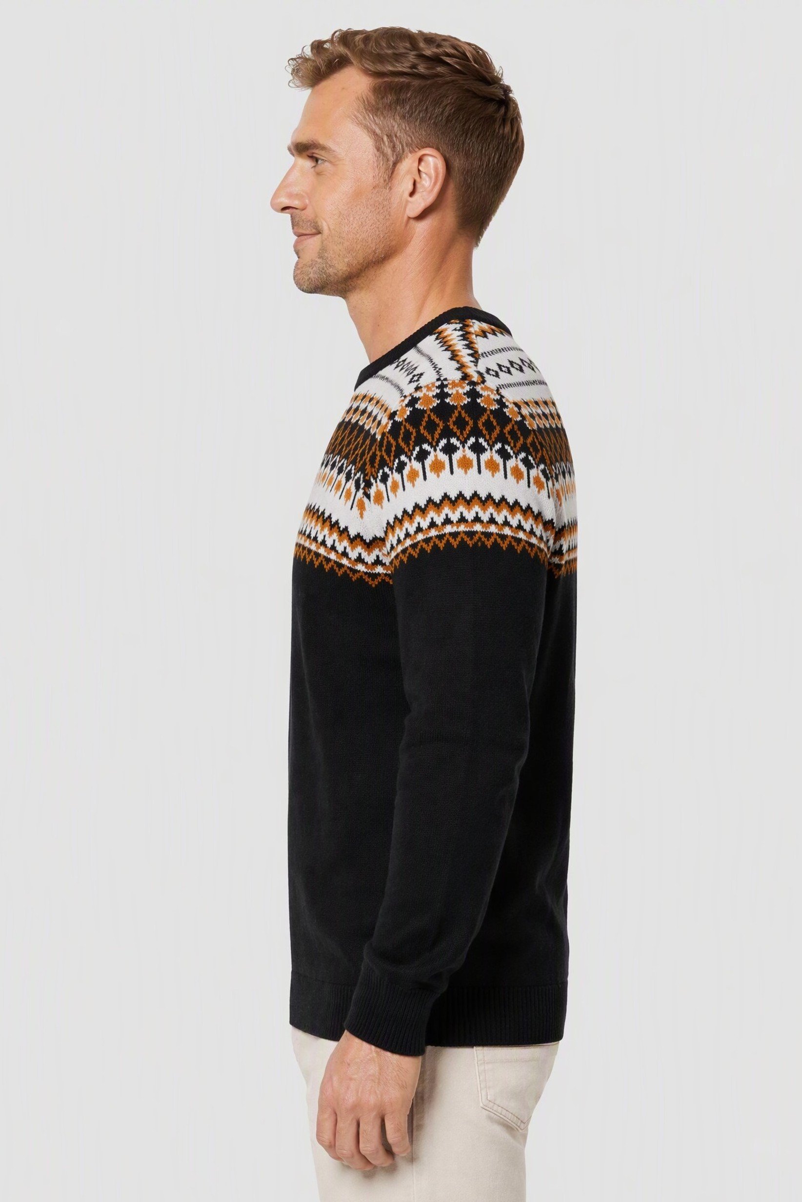 Men Crew Neck Paisley Pattern Sweater, Multicolor
