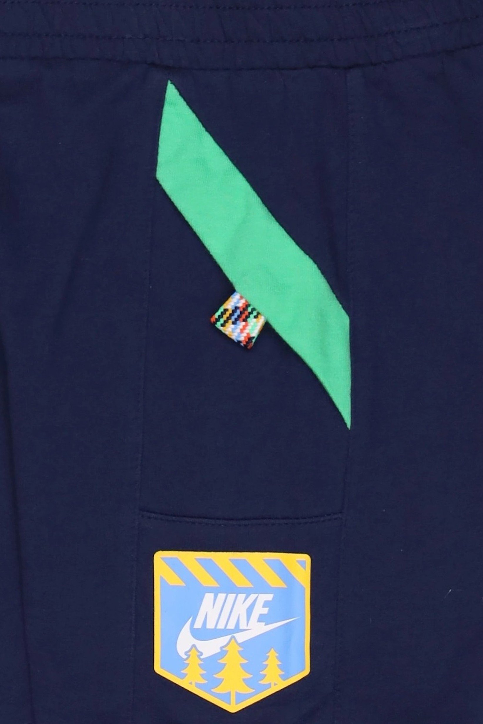 Toddlers  Boy Sportswear Fit Outdoor Shorts, Navy