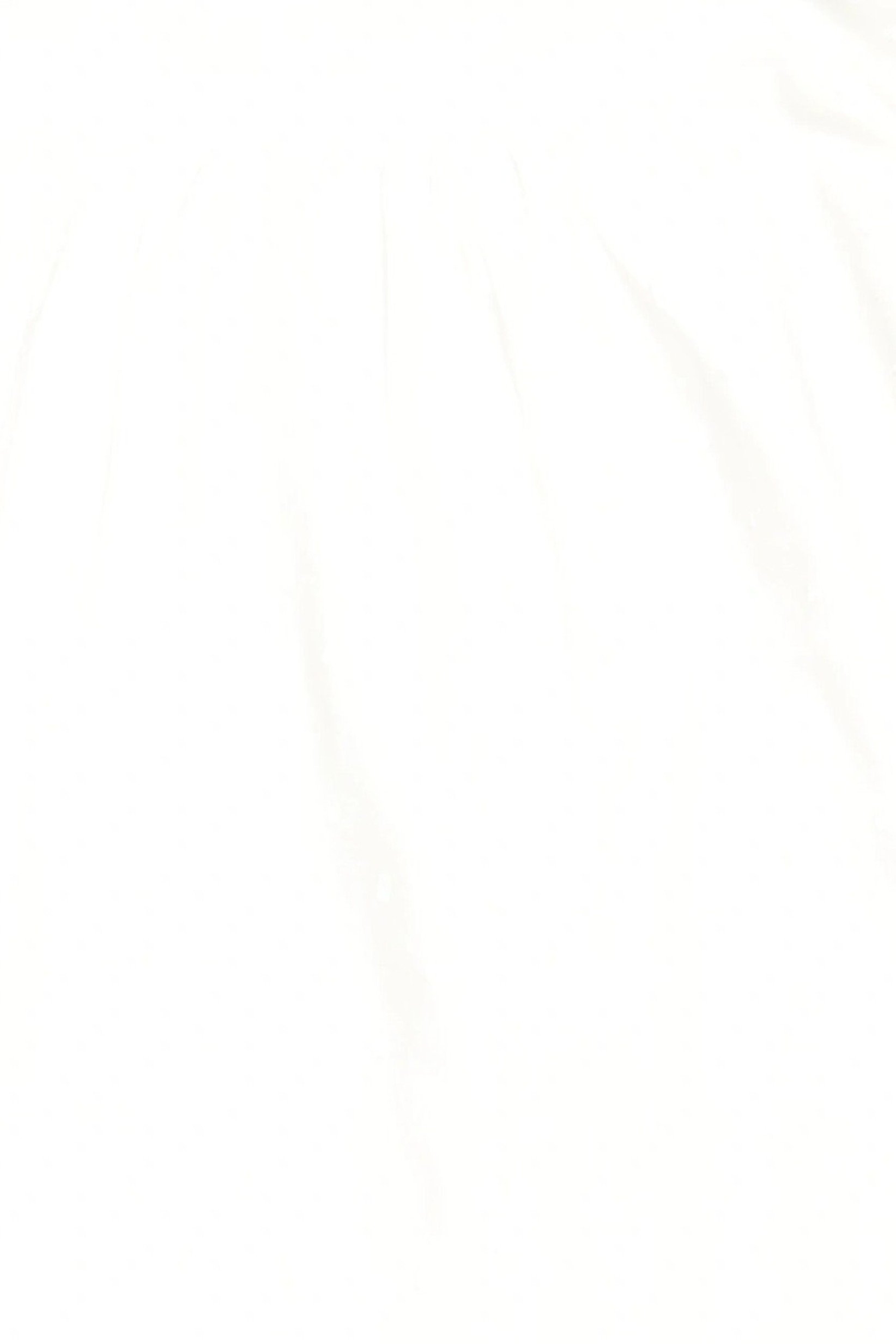 Kids Girl Embroidered Ruffle Sleeve Top, White