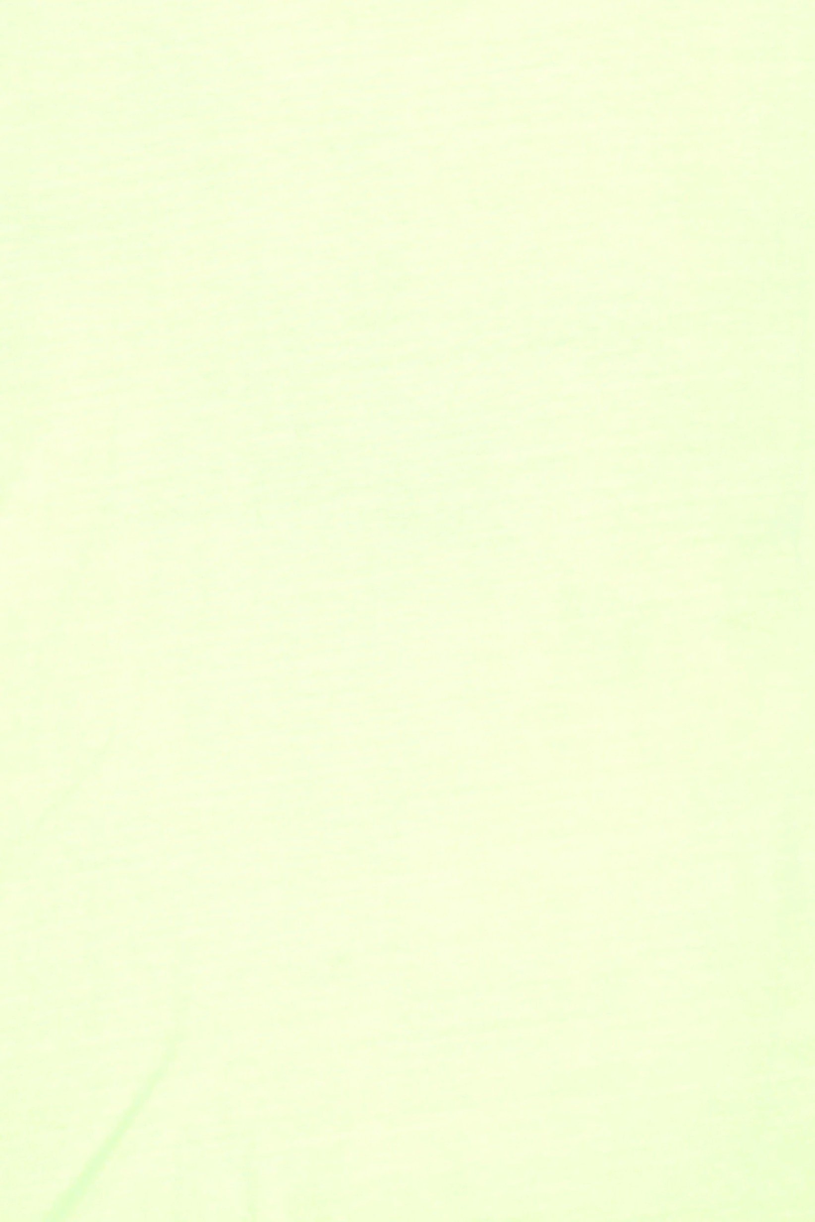 Kids Boy Crew Neck Short Sleeve Plain T-Shirt, Green