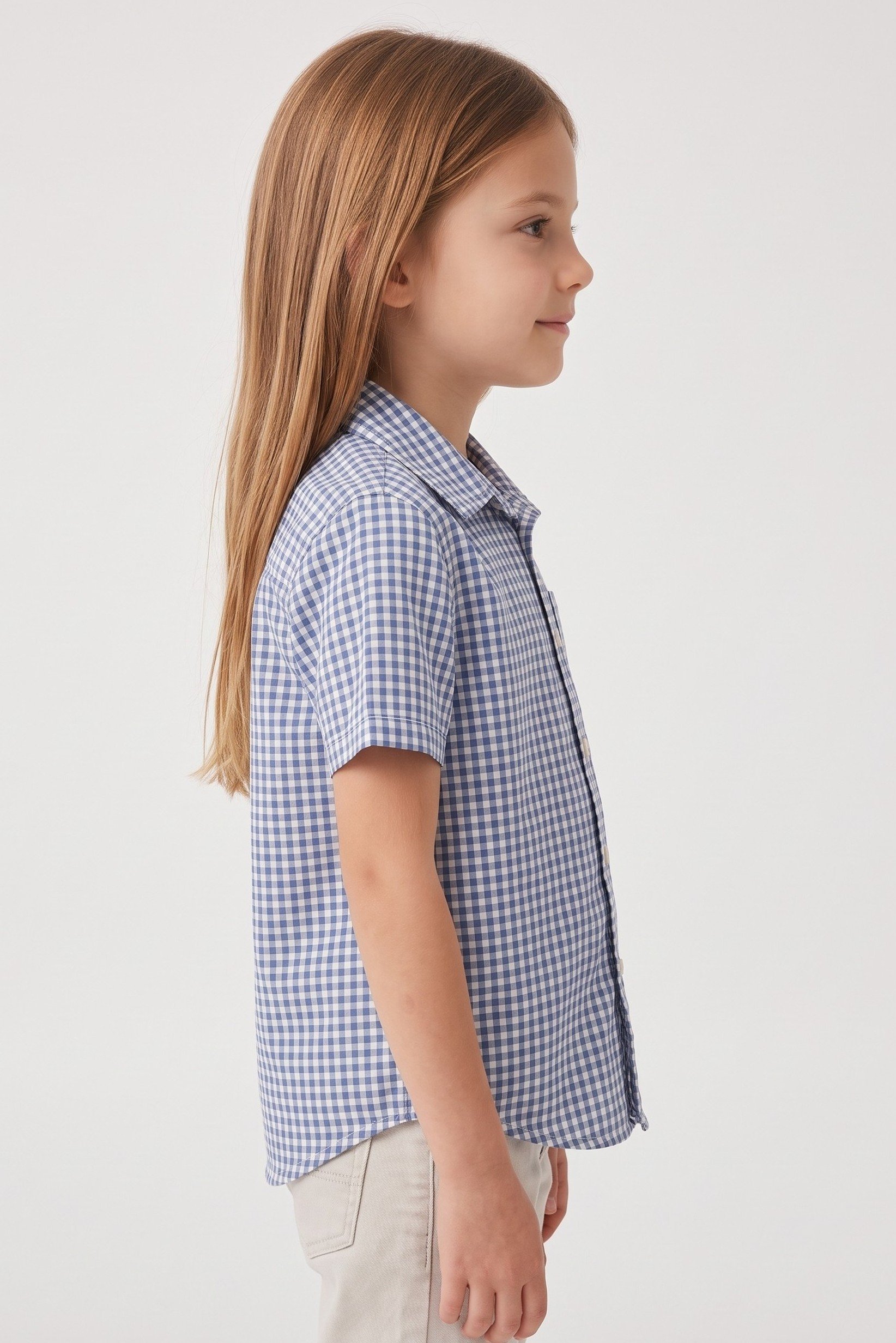 Toddlers Girl Checkered Short Sleeve Shirt, Multicolor
