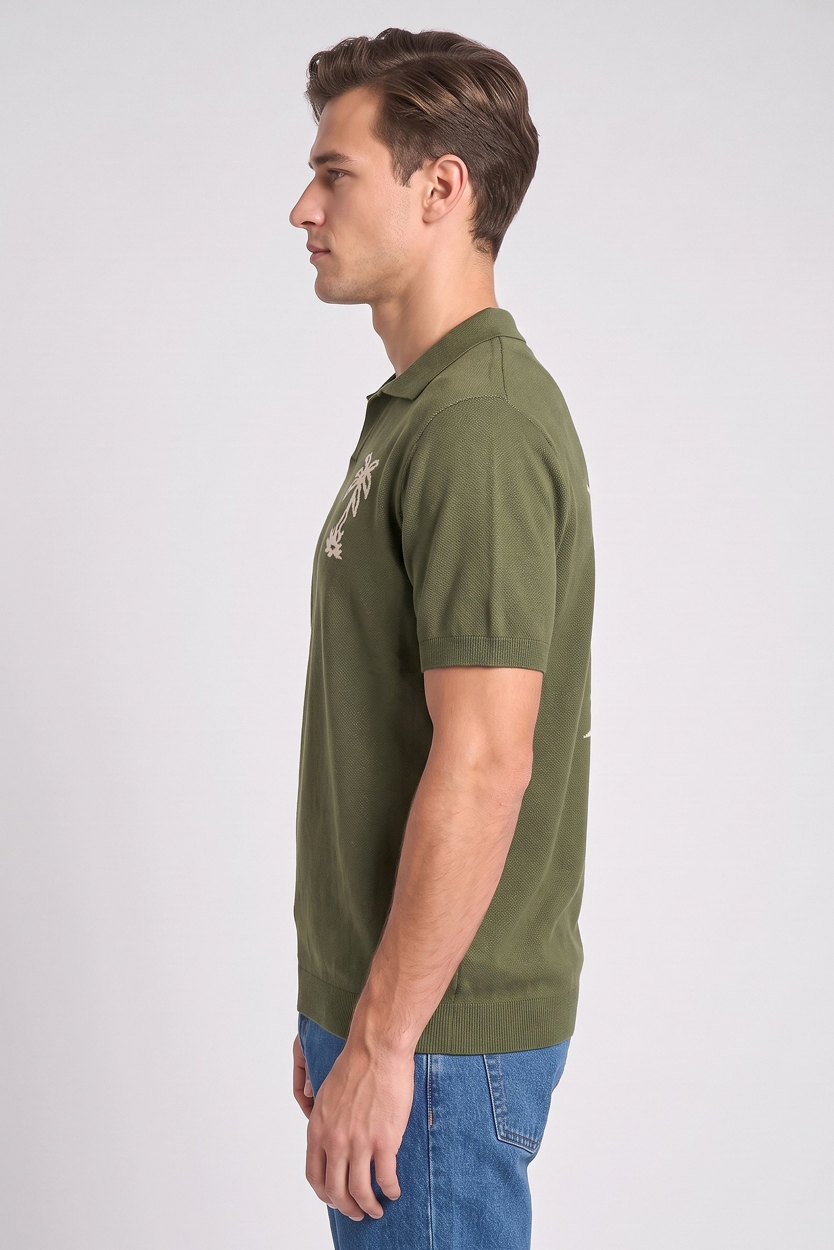 Men Regular Fit Knitted Short Sleeve Polo Shirt, Olive