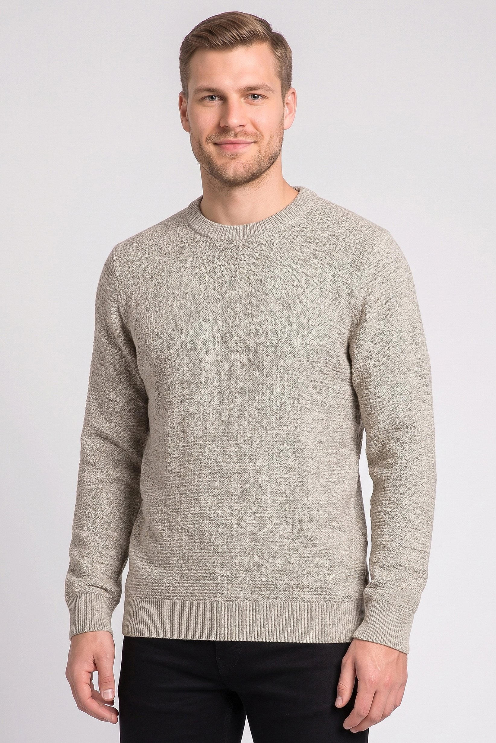 Men Crew Neck Long Sleeve Textured Sweater, Multicolor