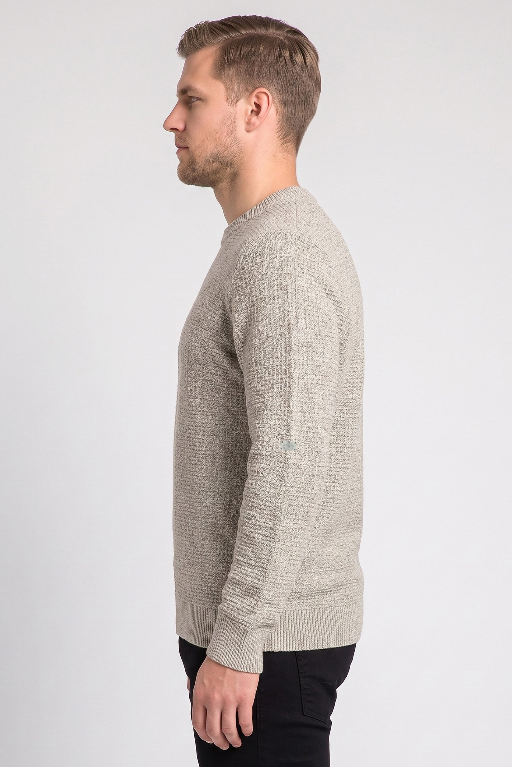 Men Crew Neck Long Sleeve Textured Sweater, Multicolor