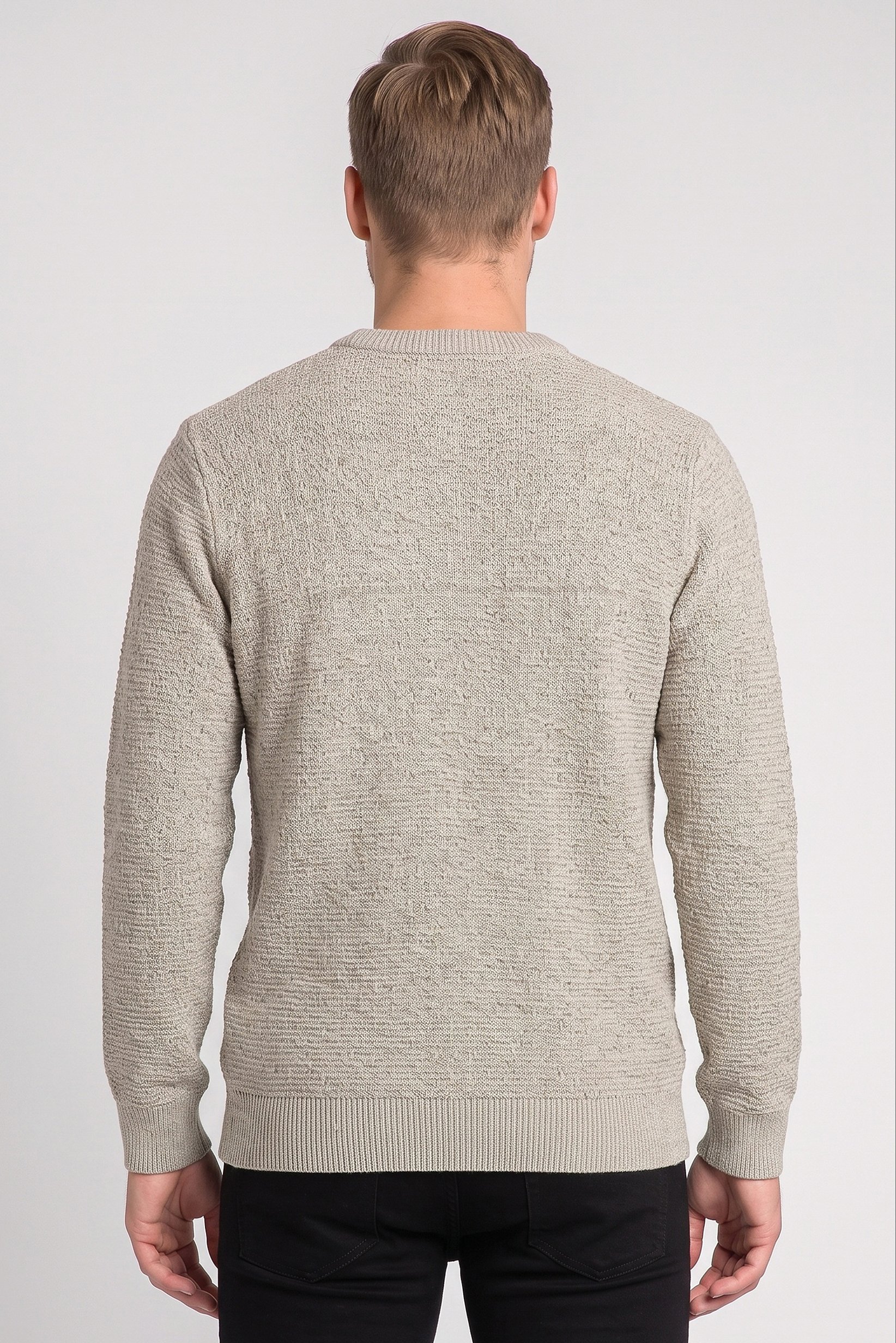 Men Crew Neck Long Sleeve Textured Sweater, Multicolor