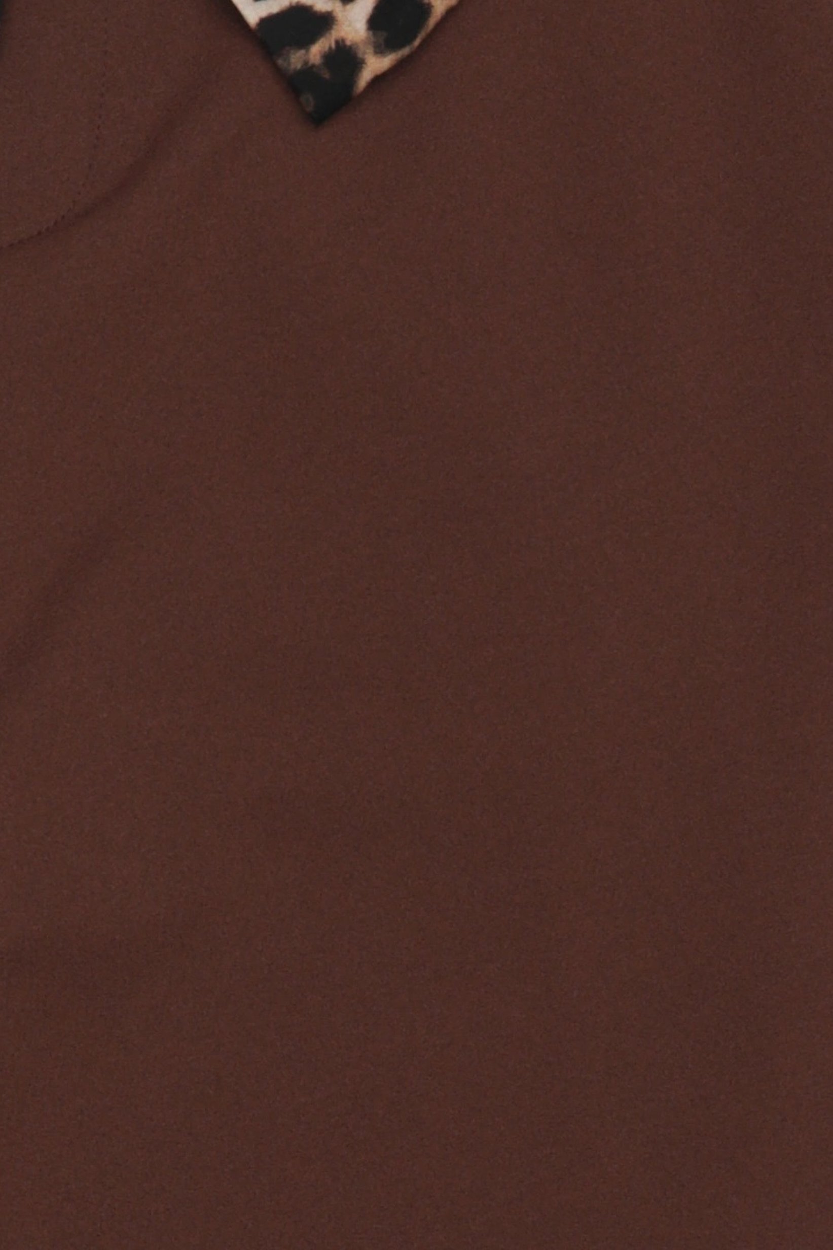 Women Regular Fit Solid Flare Pants, Brown