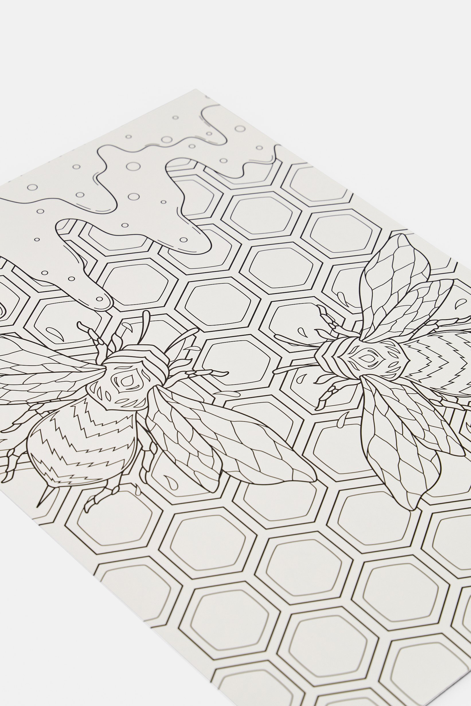 16 Pages Animal Images Marker Colouring Sheets