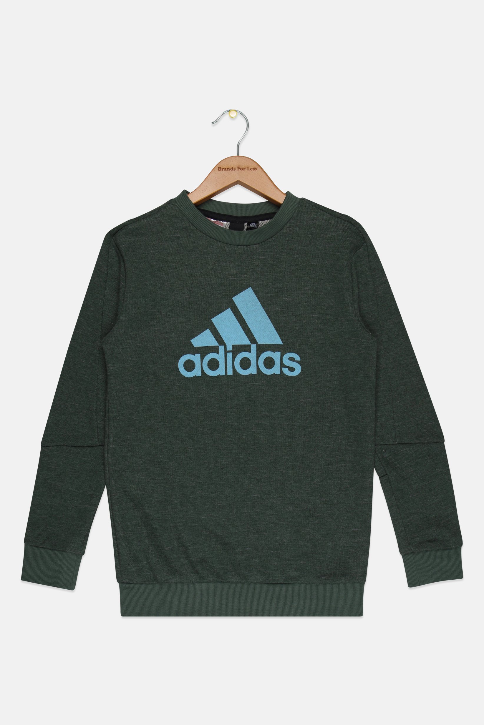 Kids Boy Sportswear Fit Long Sleeve Outdoor Sweatshirt, Green